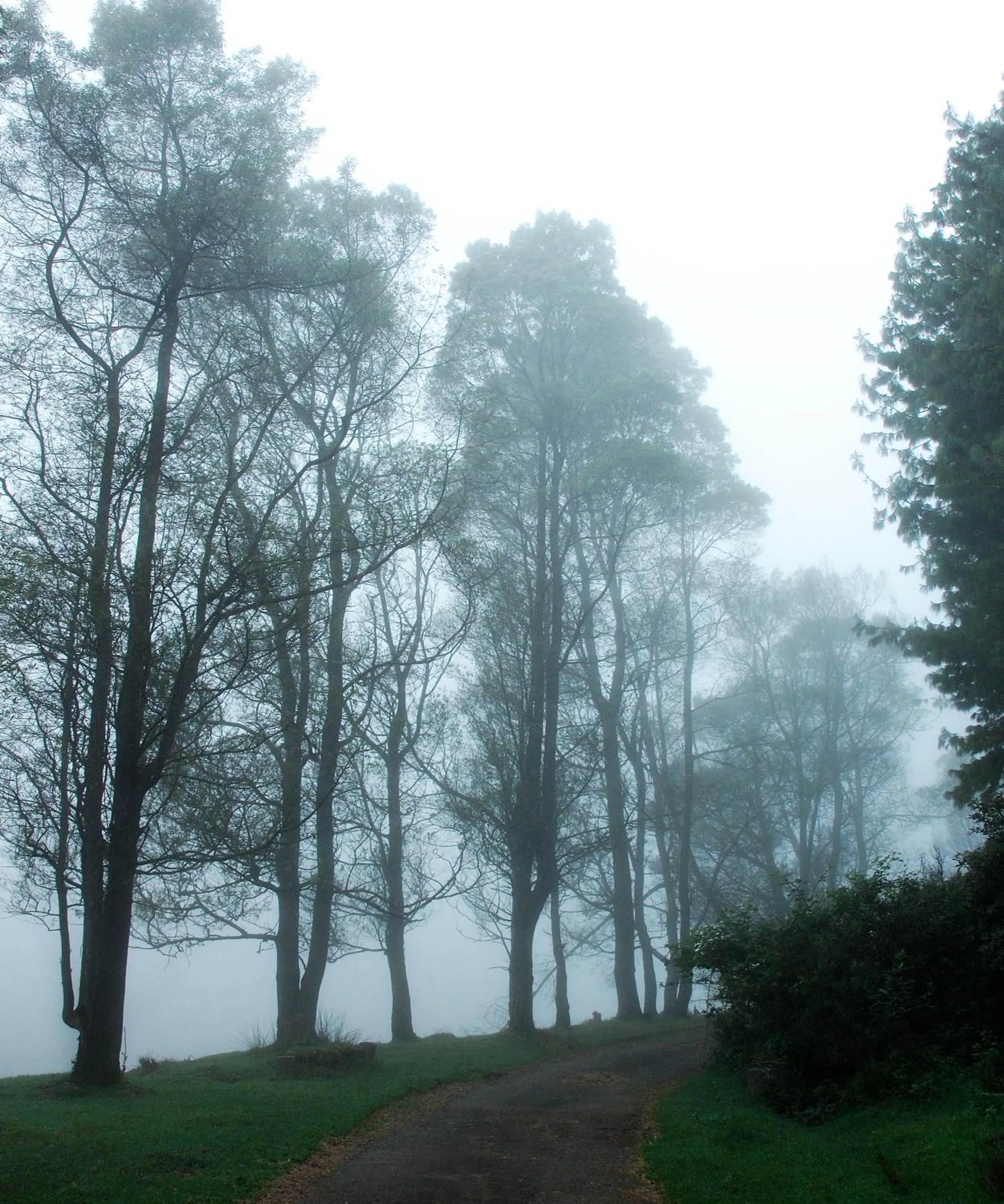 Natural landscape in Sabol Holidays