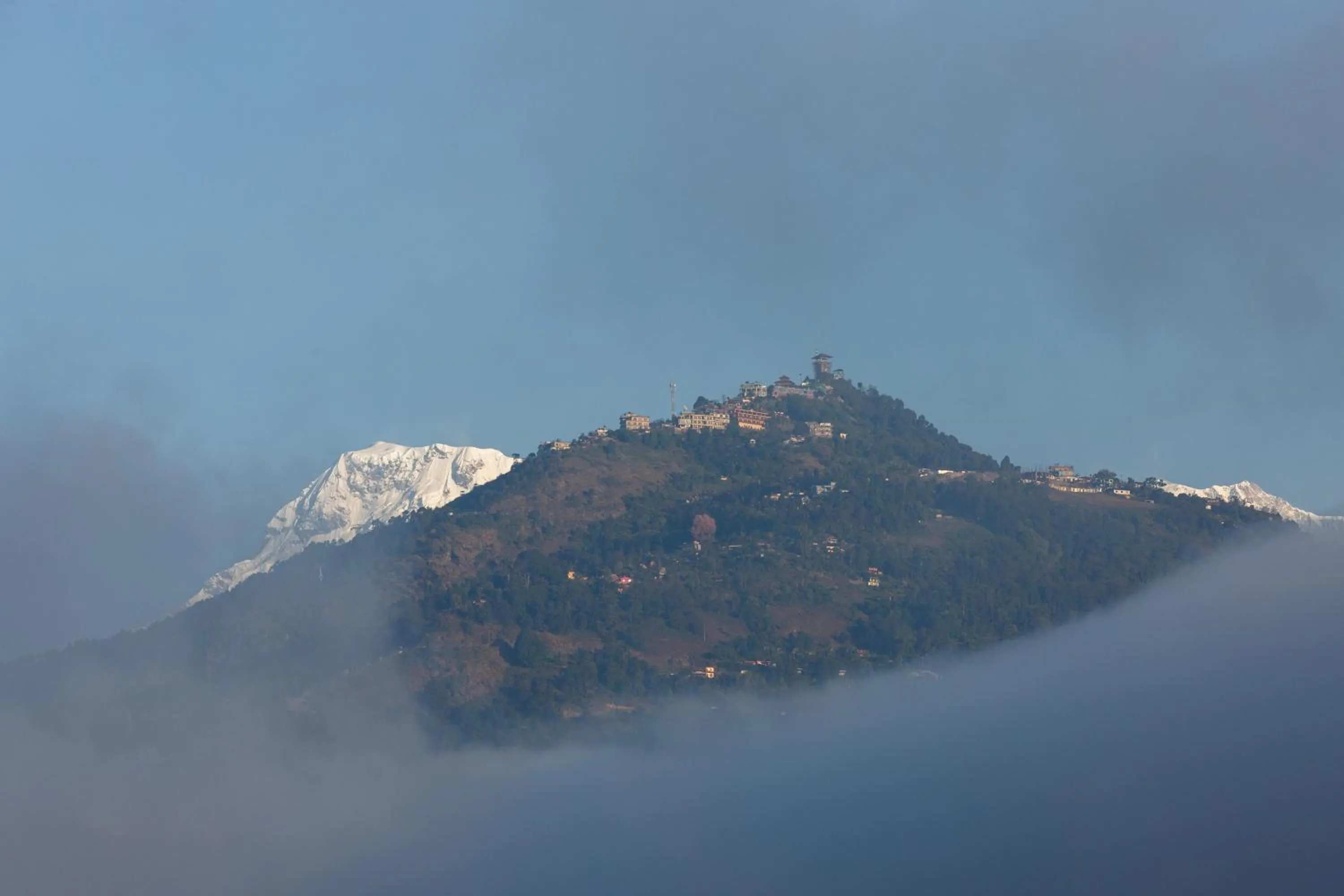 Natural landscape in Shekhar's Place