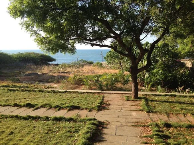 Garden in Joppa Beach House