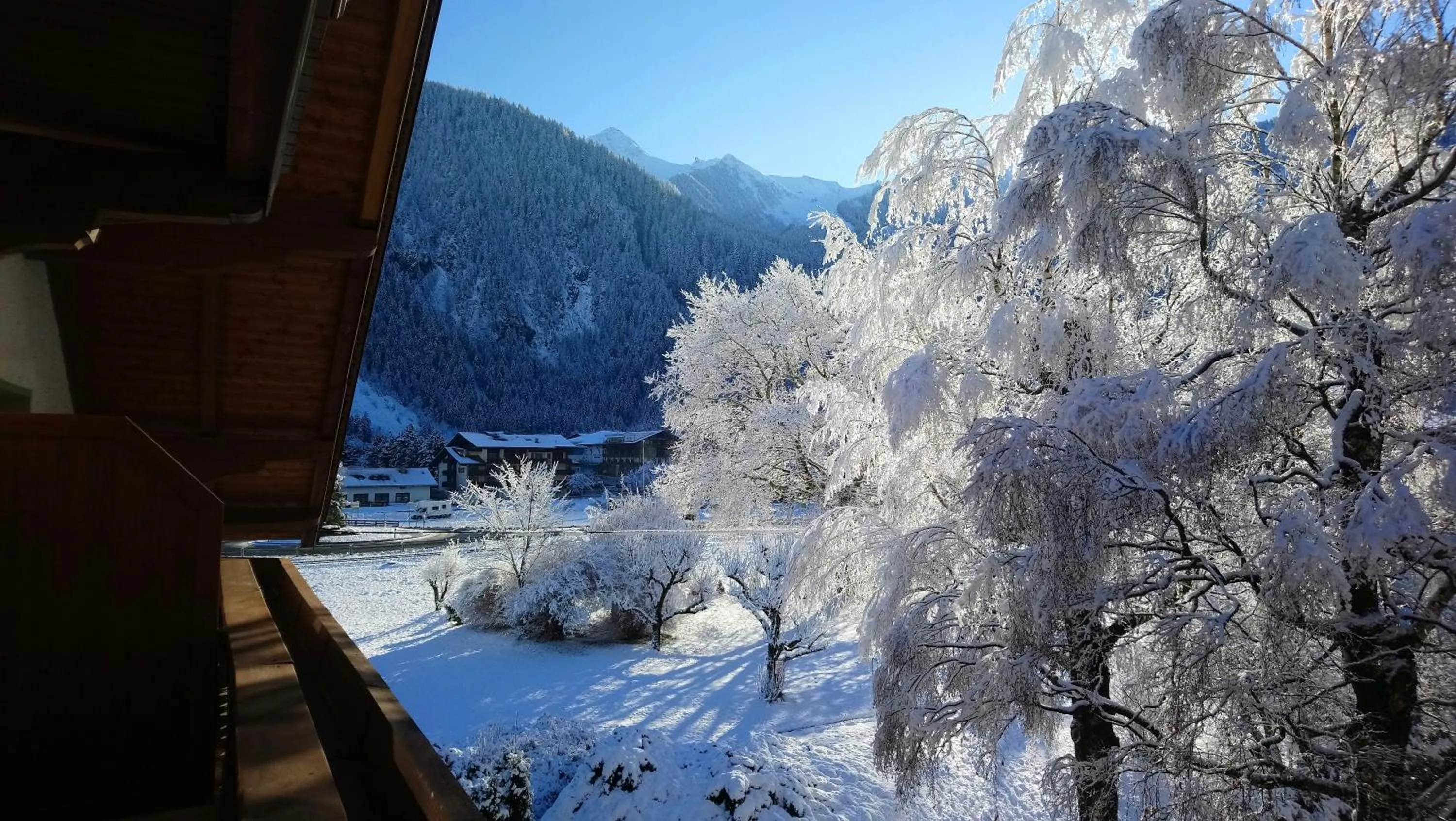 Natural landscape in Hotel Garni Birkenhof