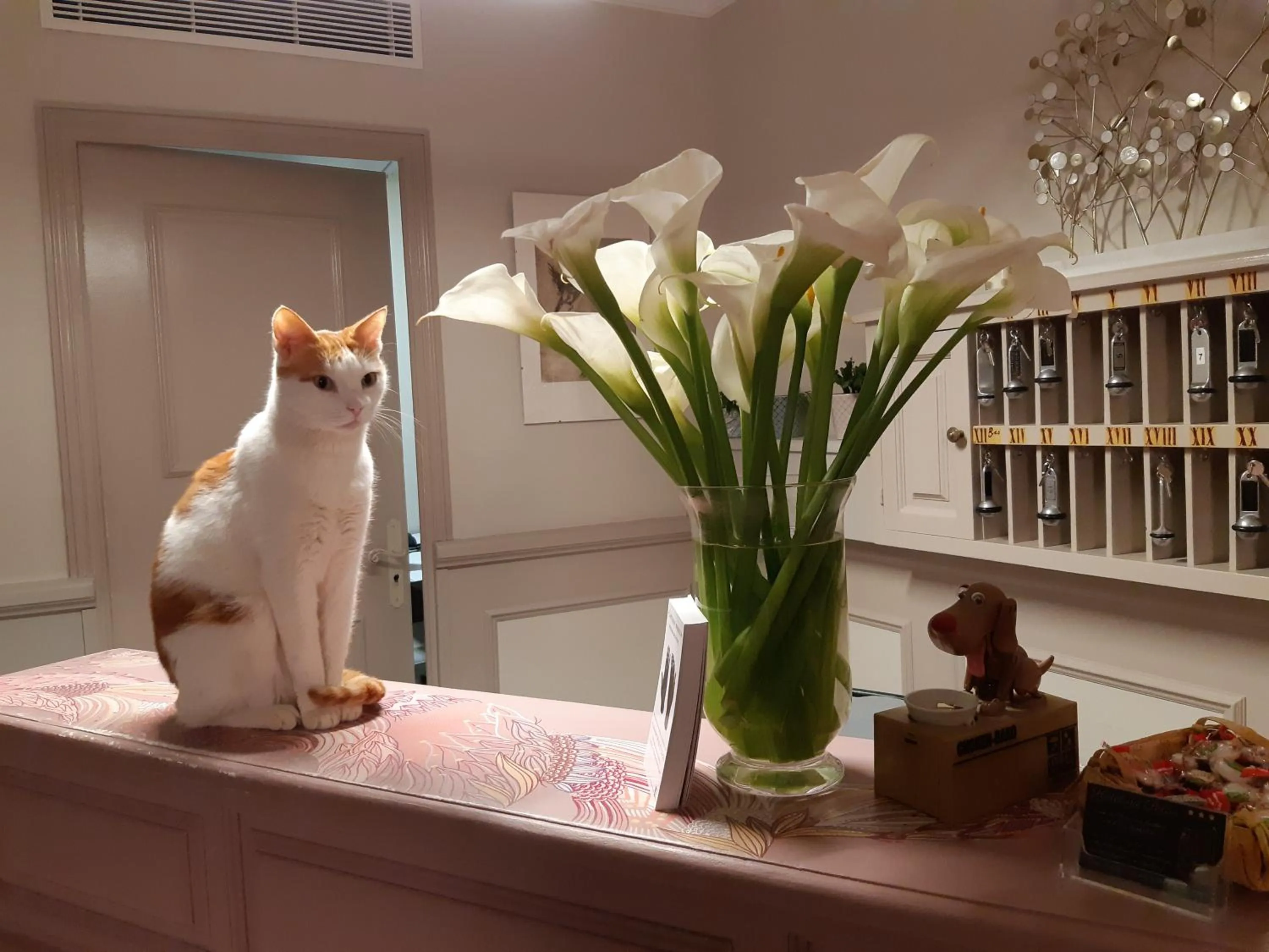 Lobby or reception in Hotel du Palais
