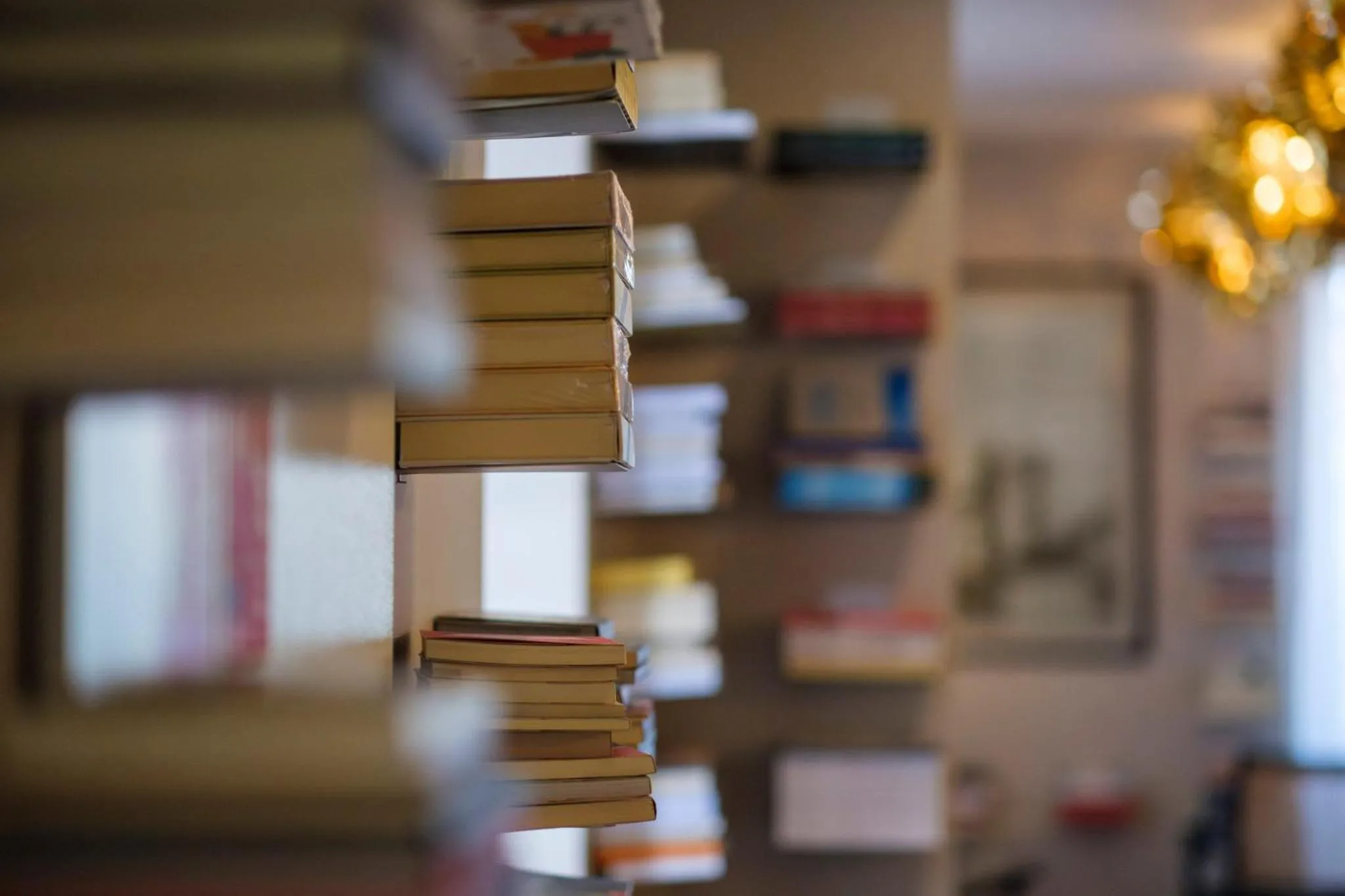 Library in Azores Book Hotel