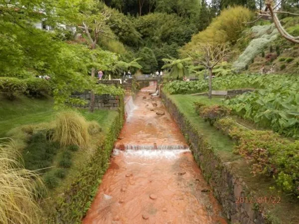 Natural landscape in Aparthotel Barracuda