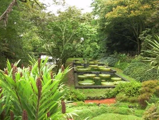 Natural landscape in Aparthotel Barracuda