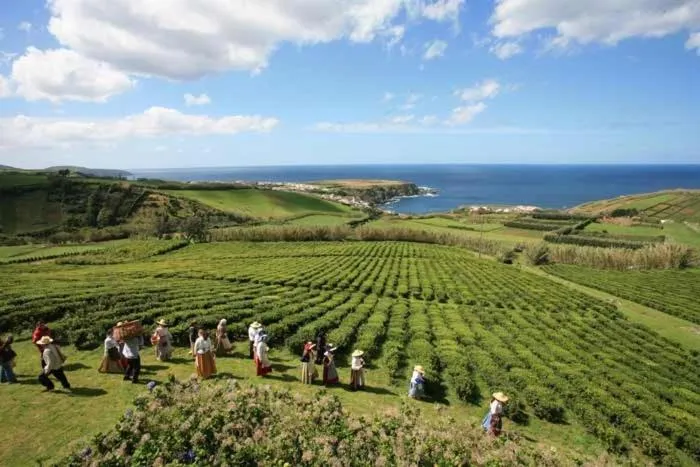 Natural landscape in Aparthotel Barracuda