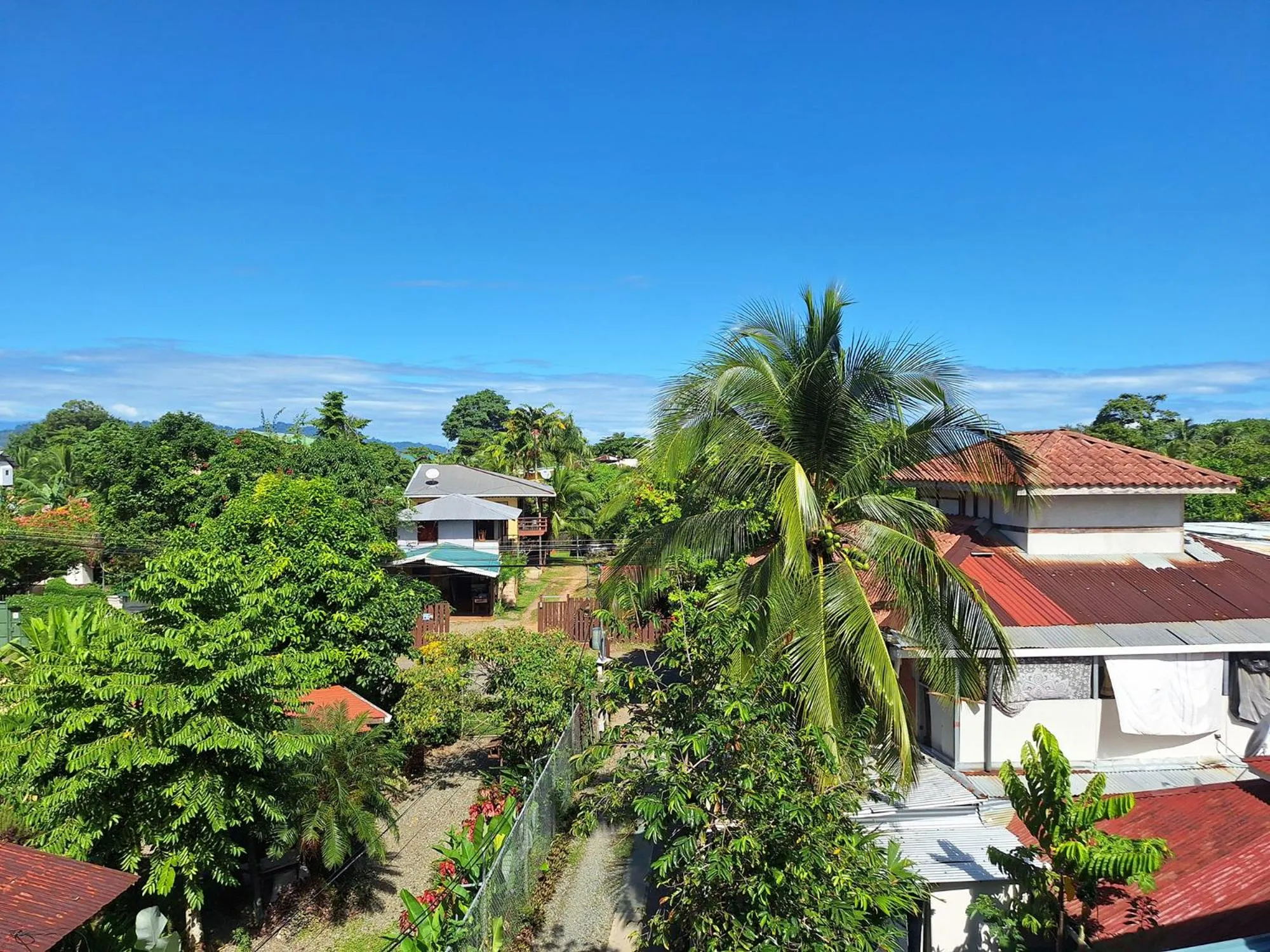 Natural landscape in Infiniti Hotel