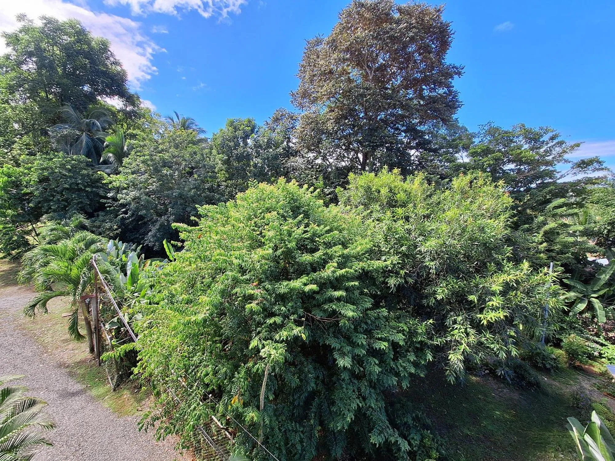 Natural landscape in Infiniti Hotel