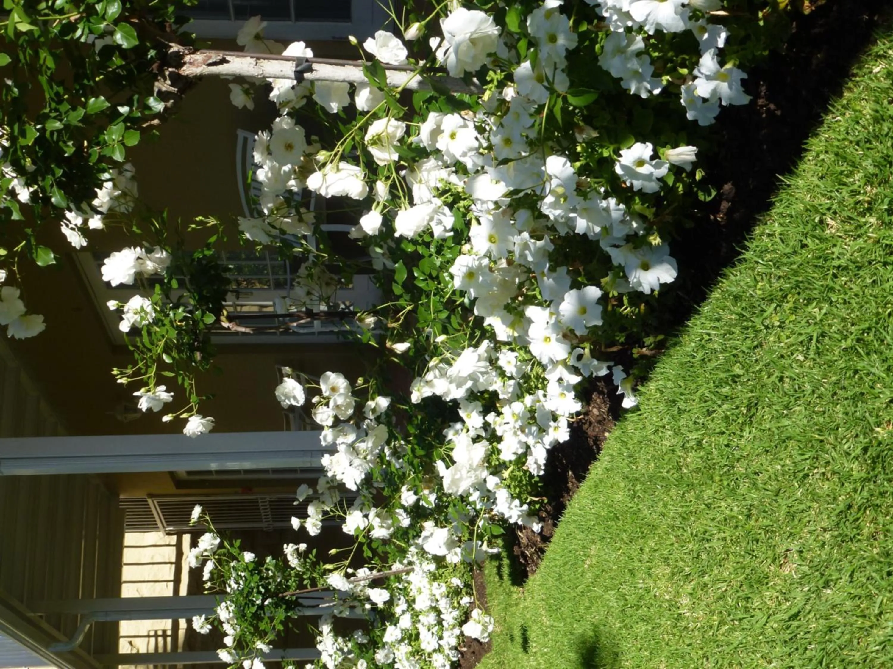 @Yamkela Guest House