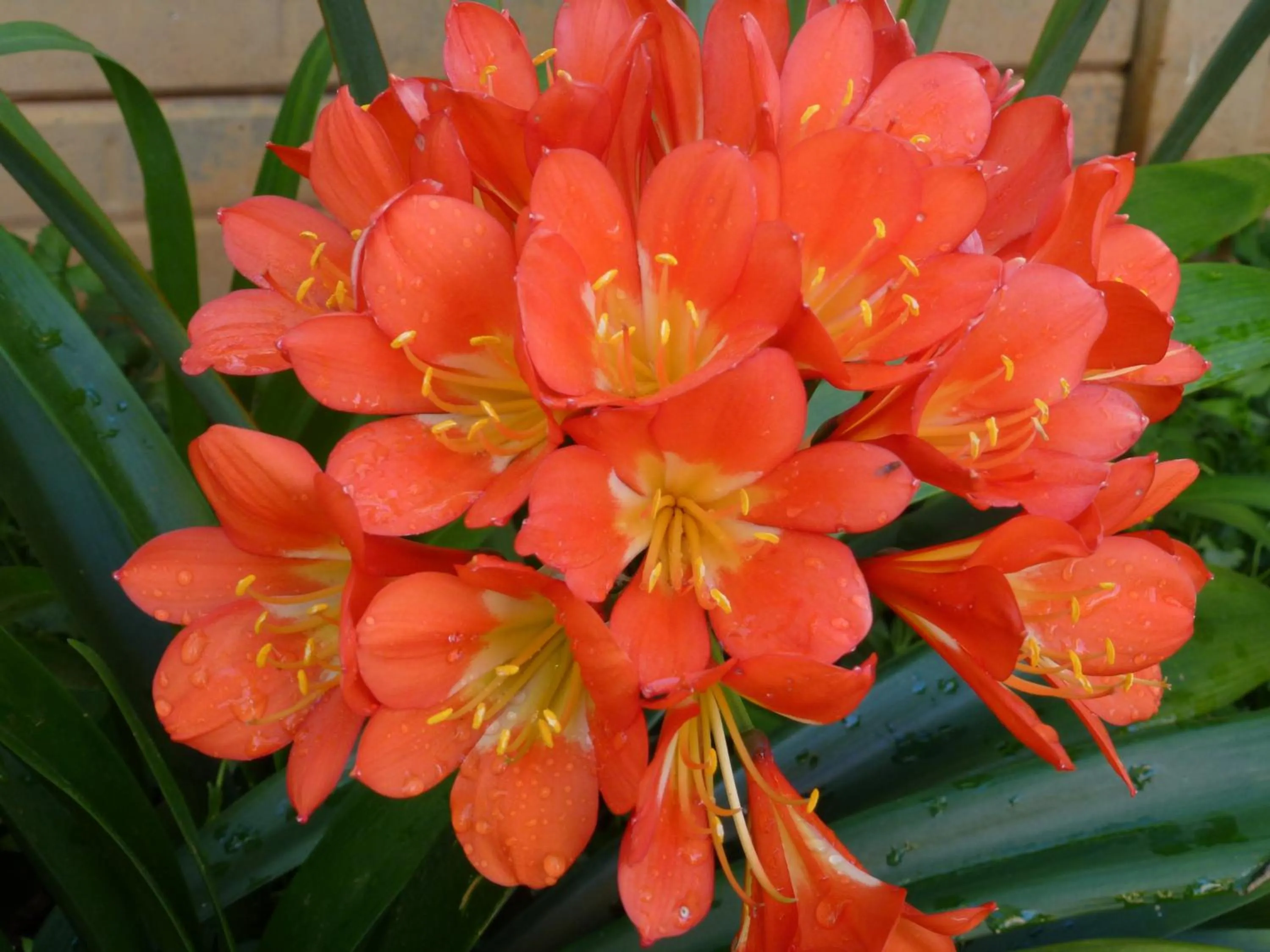 @Yamkela Guest House