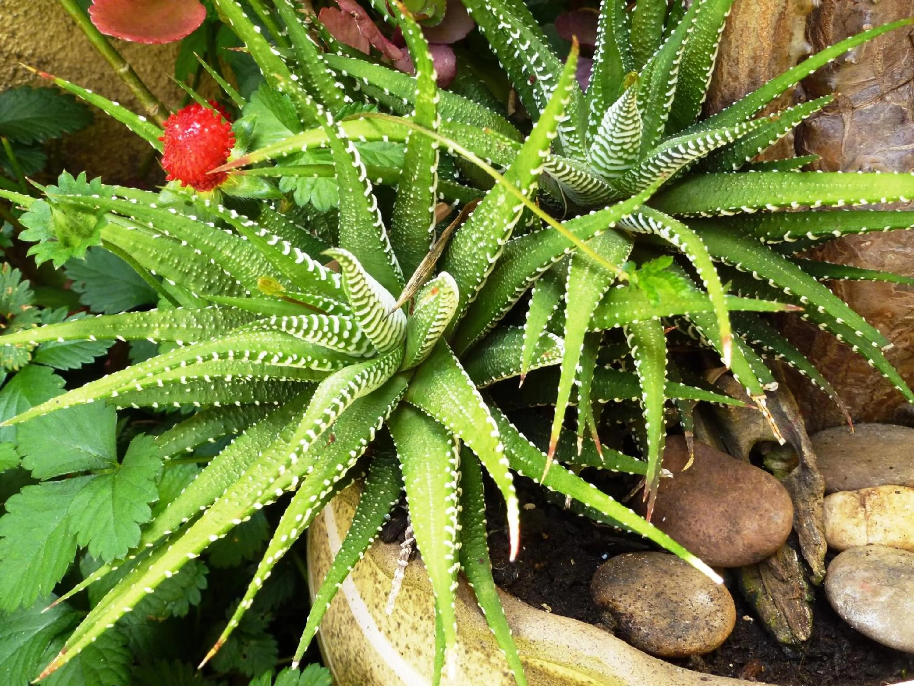 @Yamkela Guest House