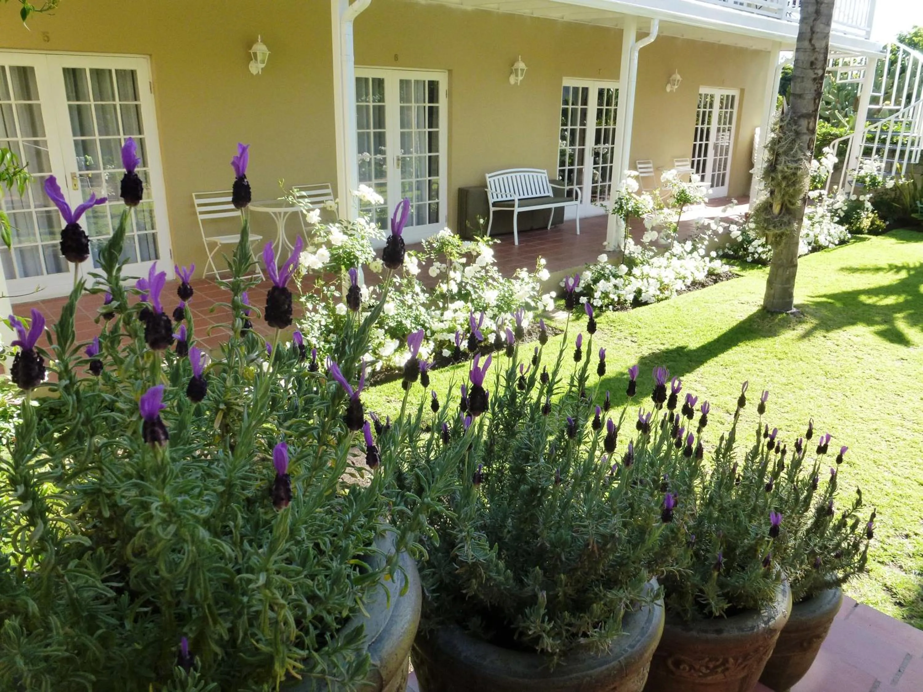 @Yamkela Guest House