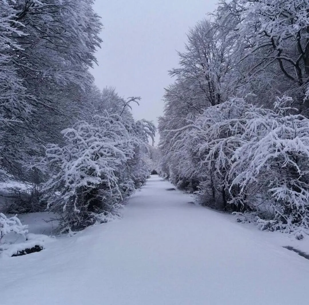 Winter in Andamur San Román