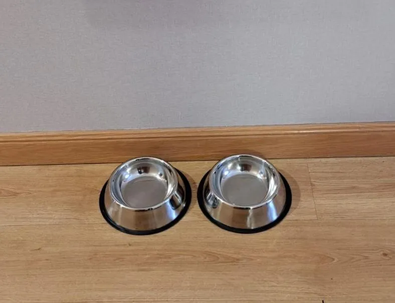 Pets in Andamur San Román