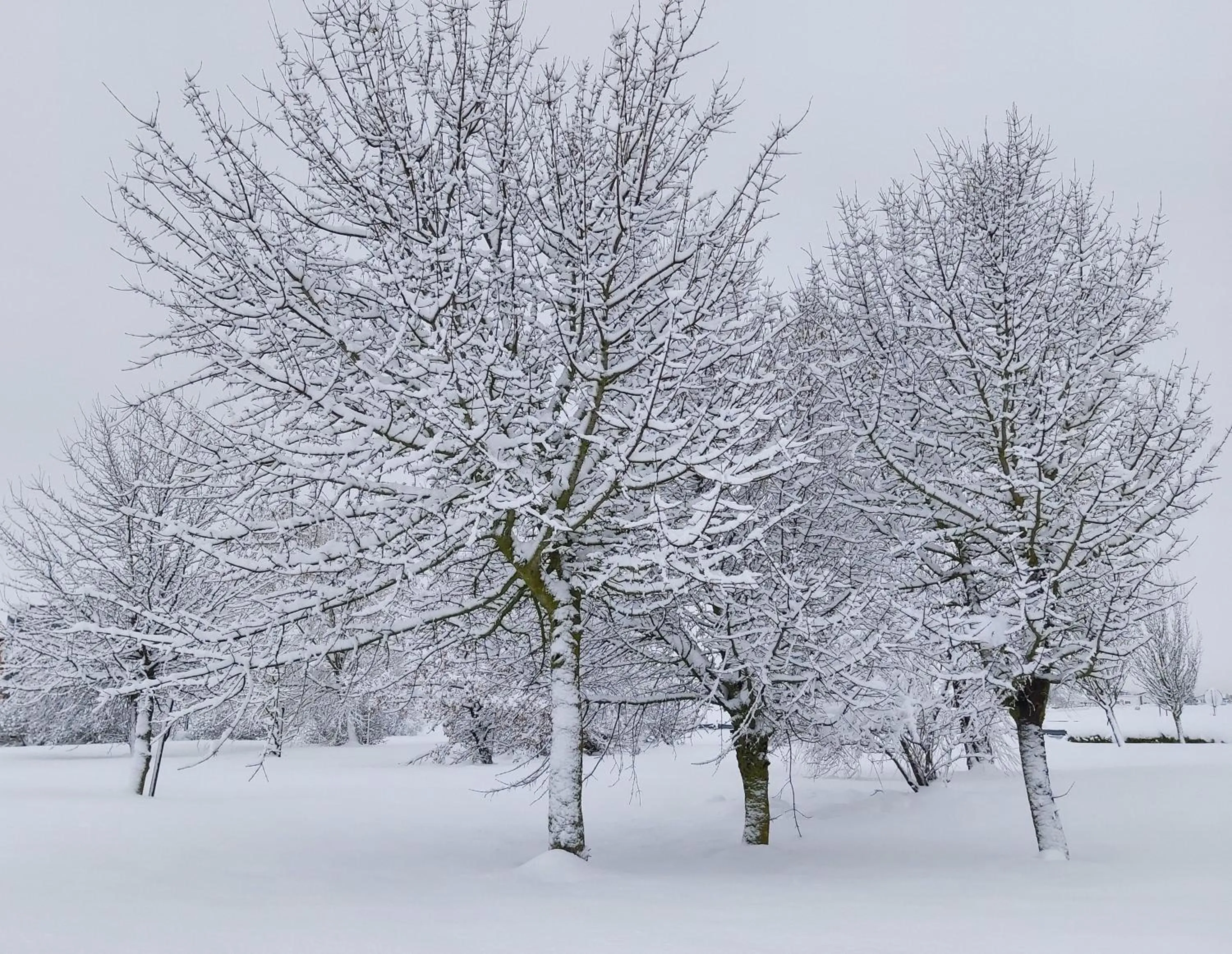Natural landscape in Andamur San Román