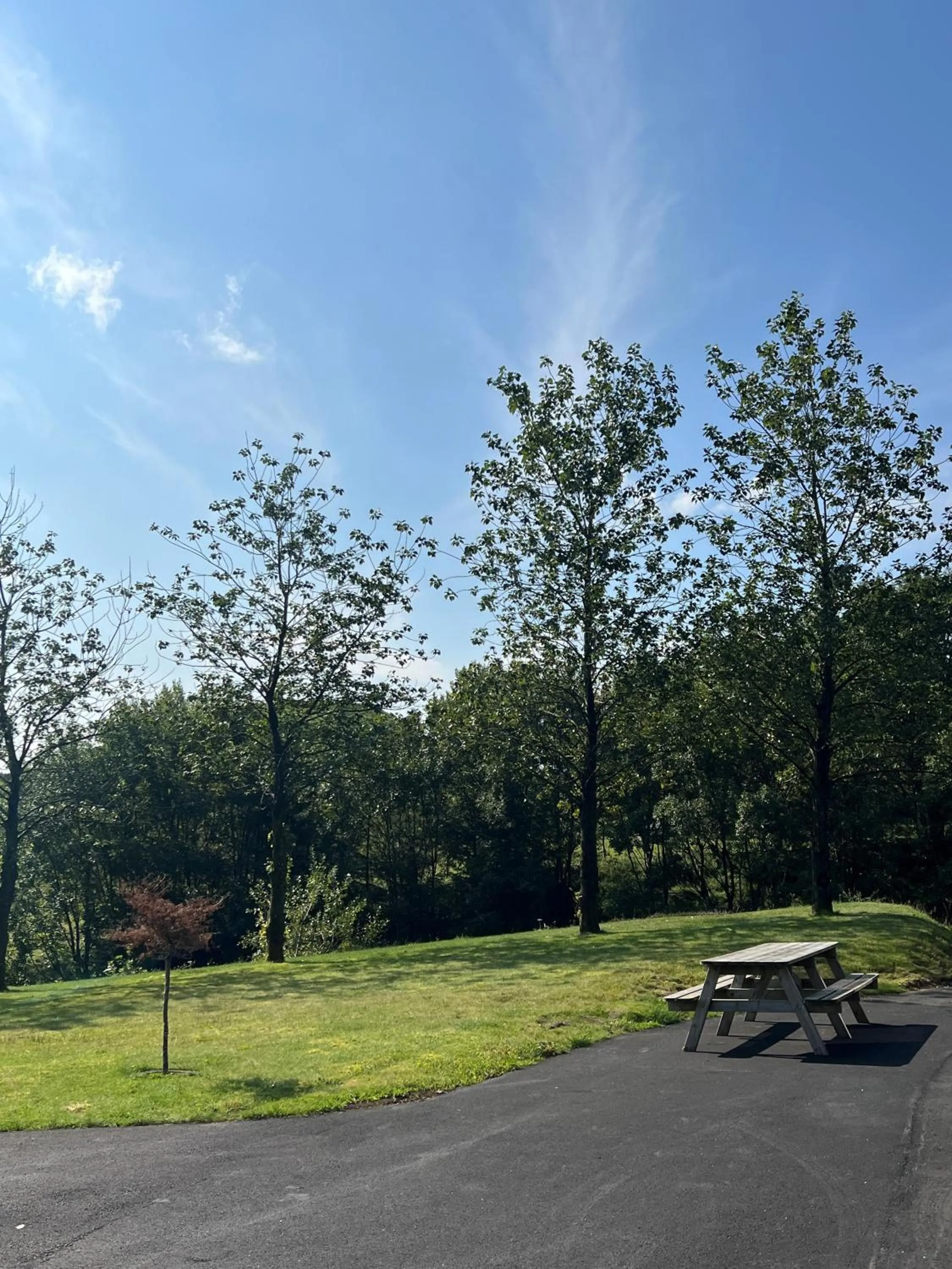 Garden in Selvbetjent leilighetshotell på Ålgård