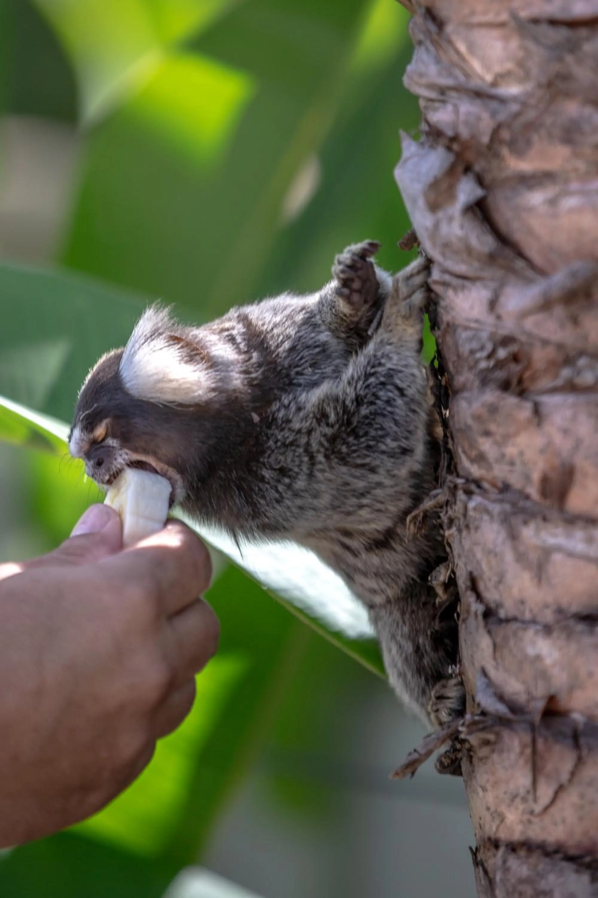 Pousada Recanto Jota Ge