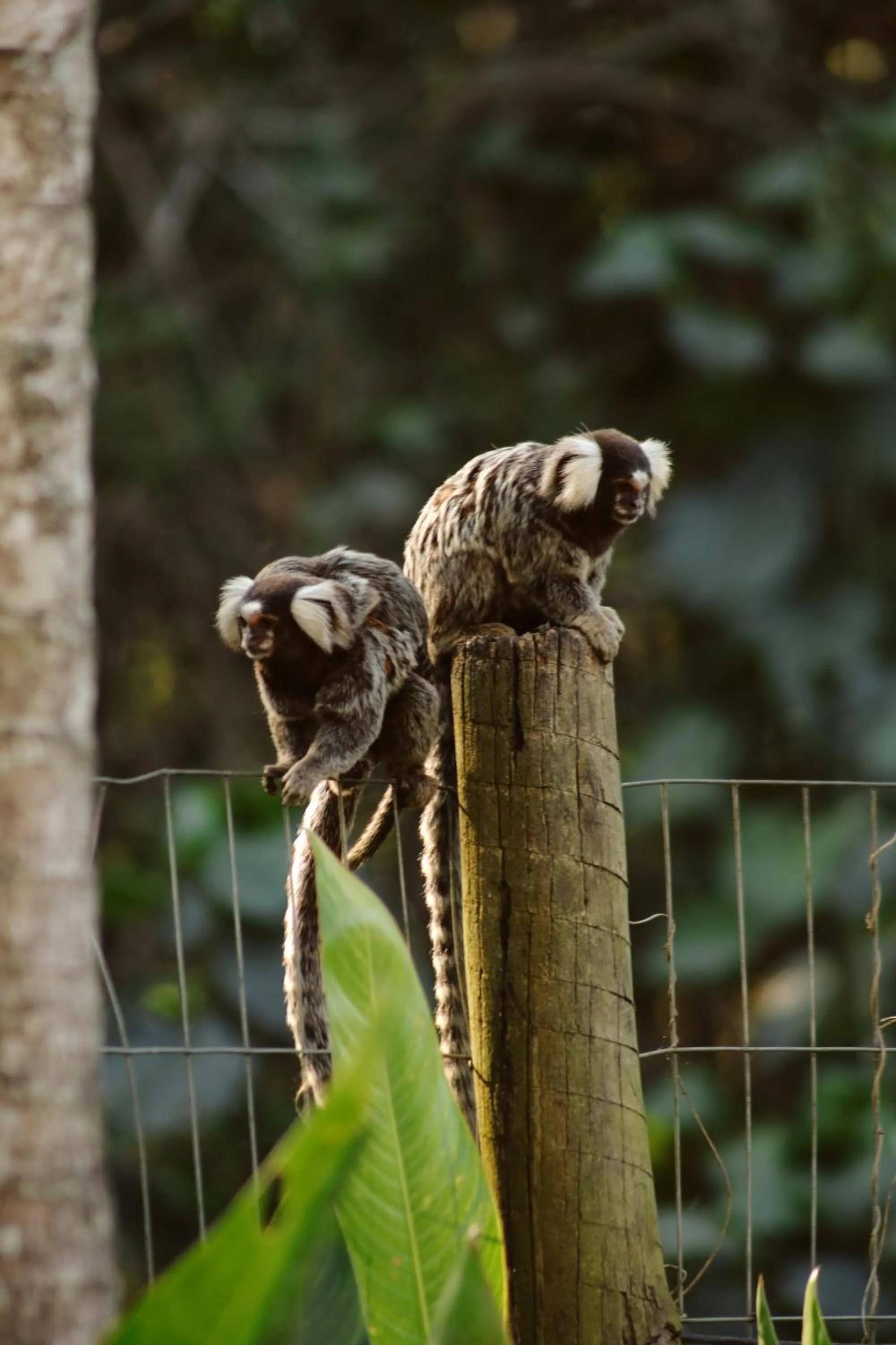 Pousada Recanto Jota Ge
