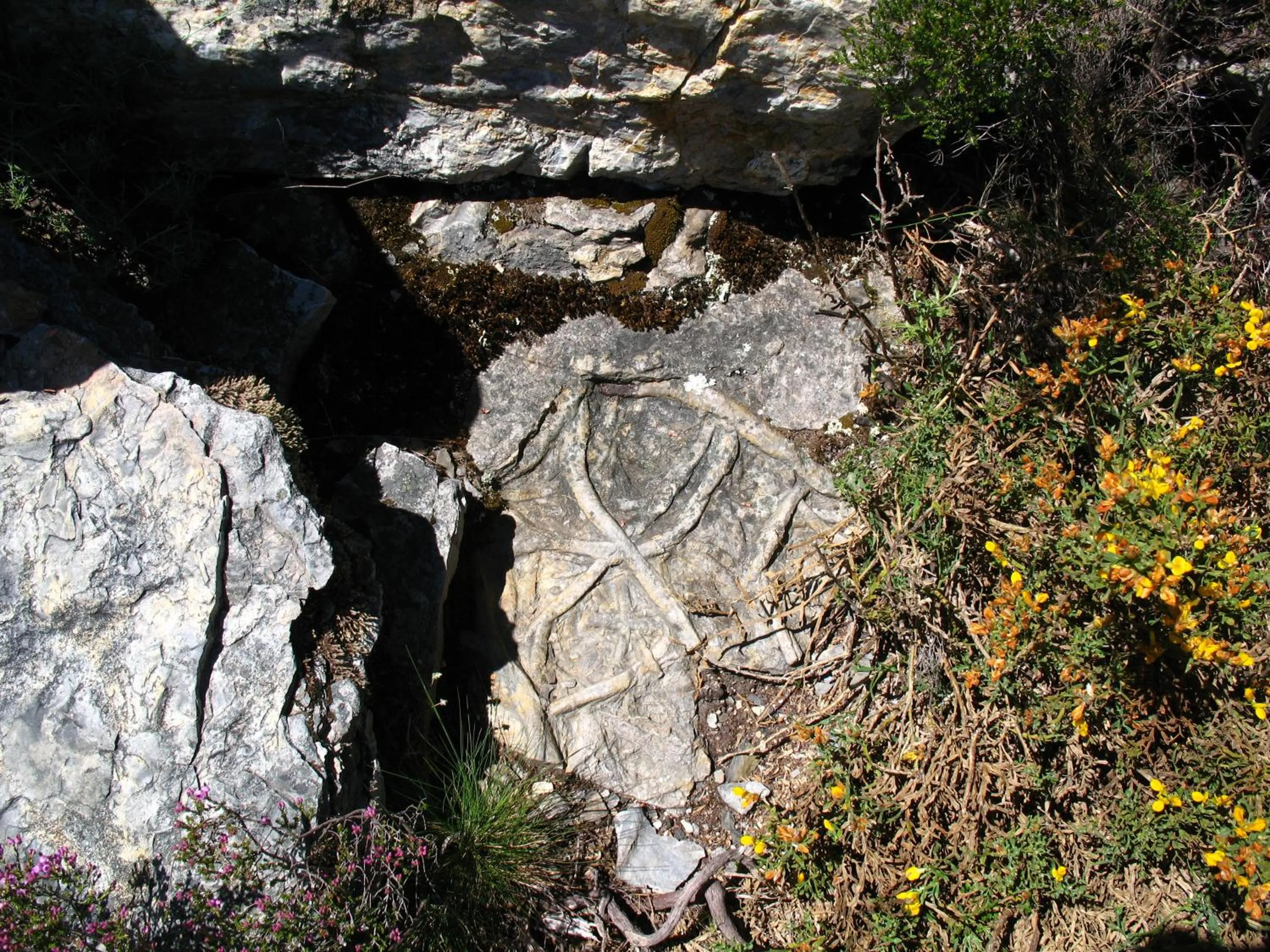 Other in Casa do Neveiro