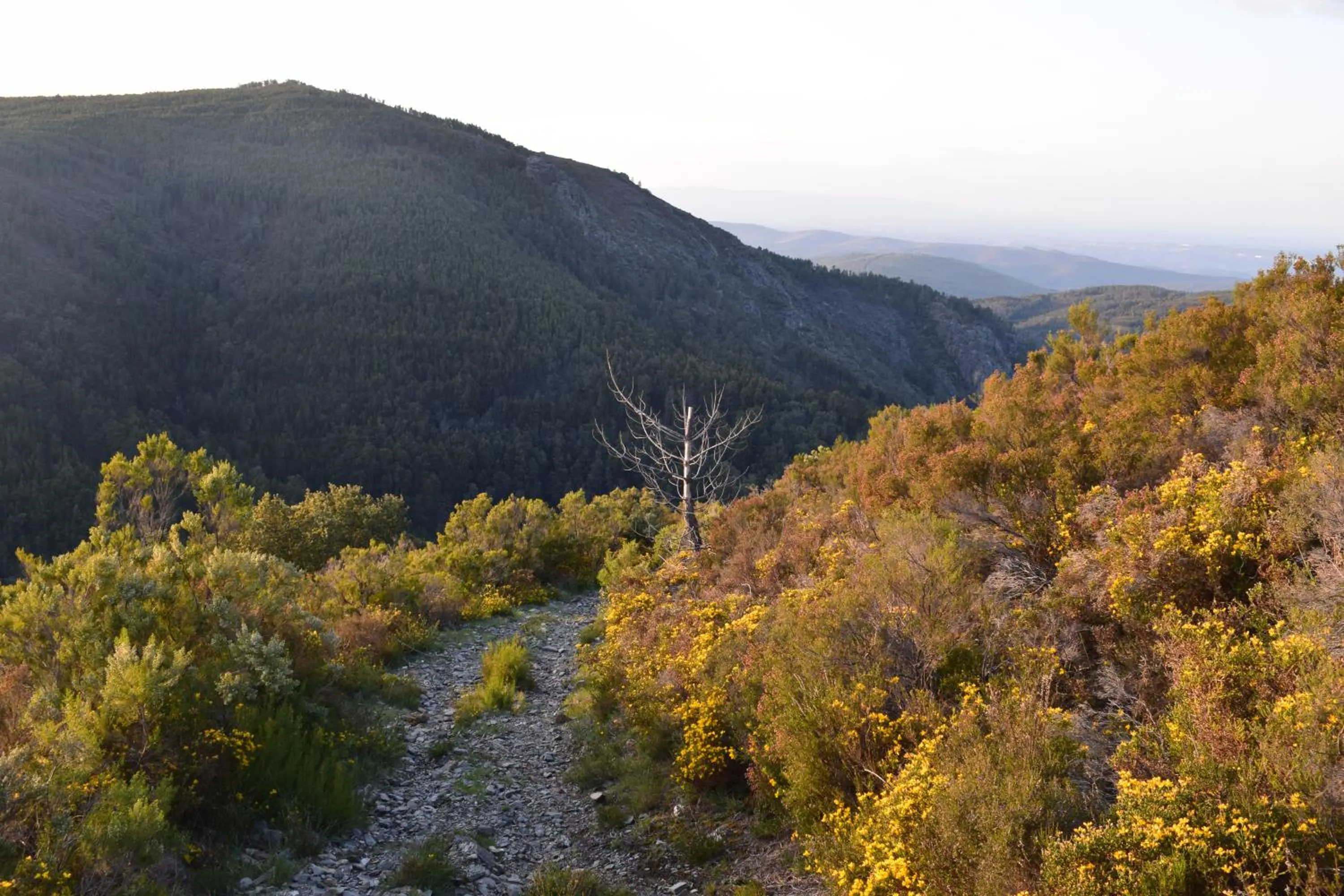 Natural landscape in Casa do Neveiro