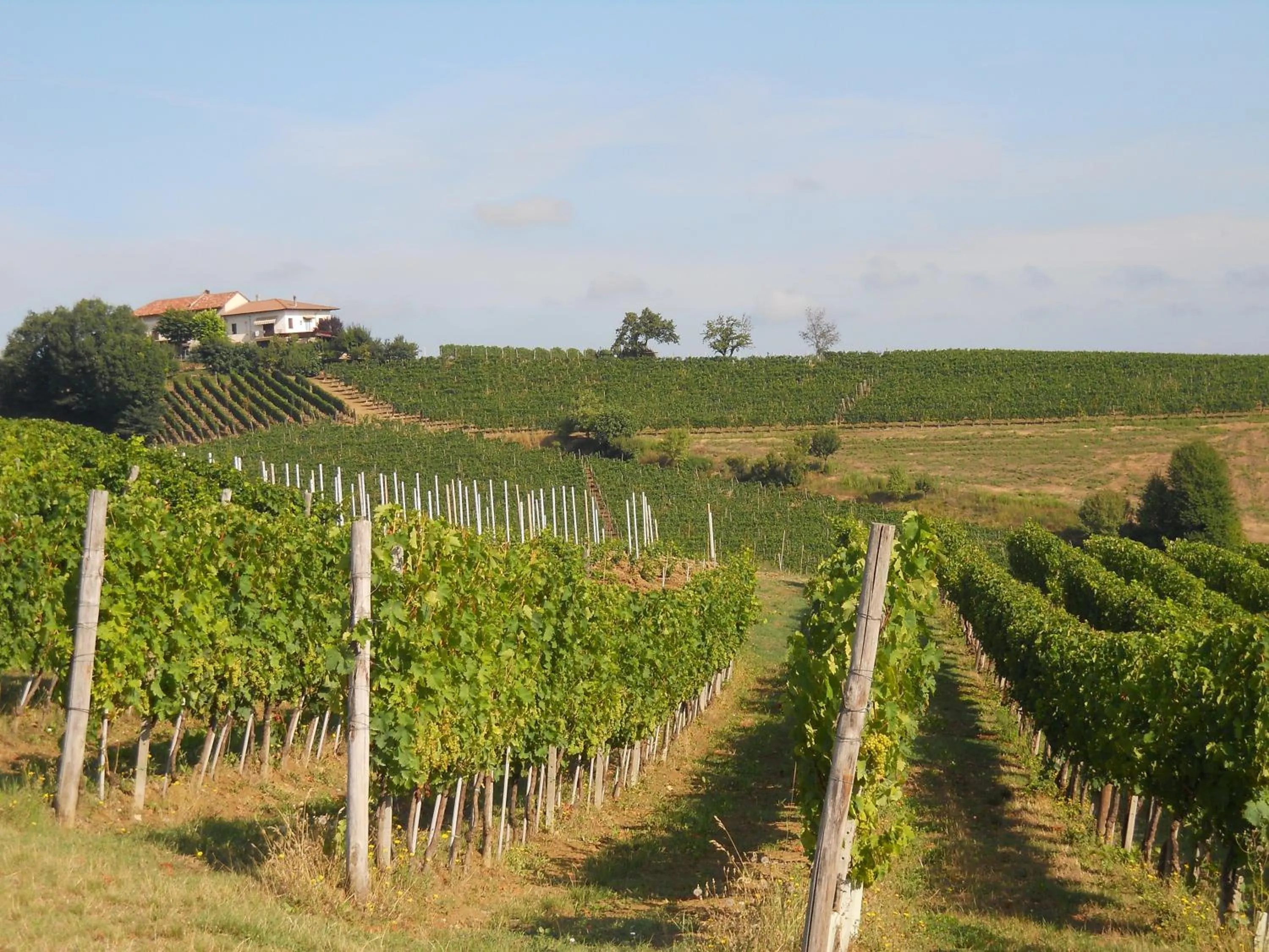 Natural landscape in Bed And Breakfast Il Garoch