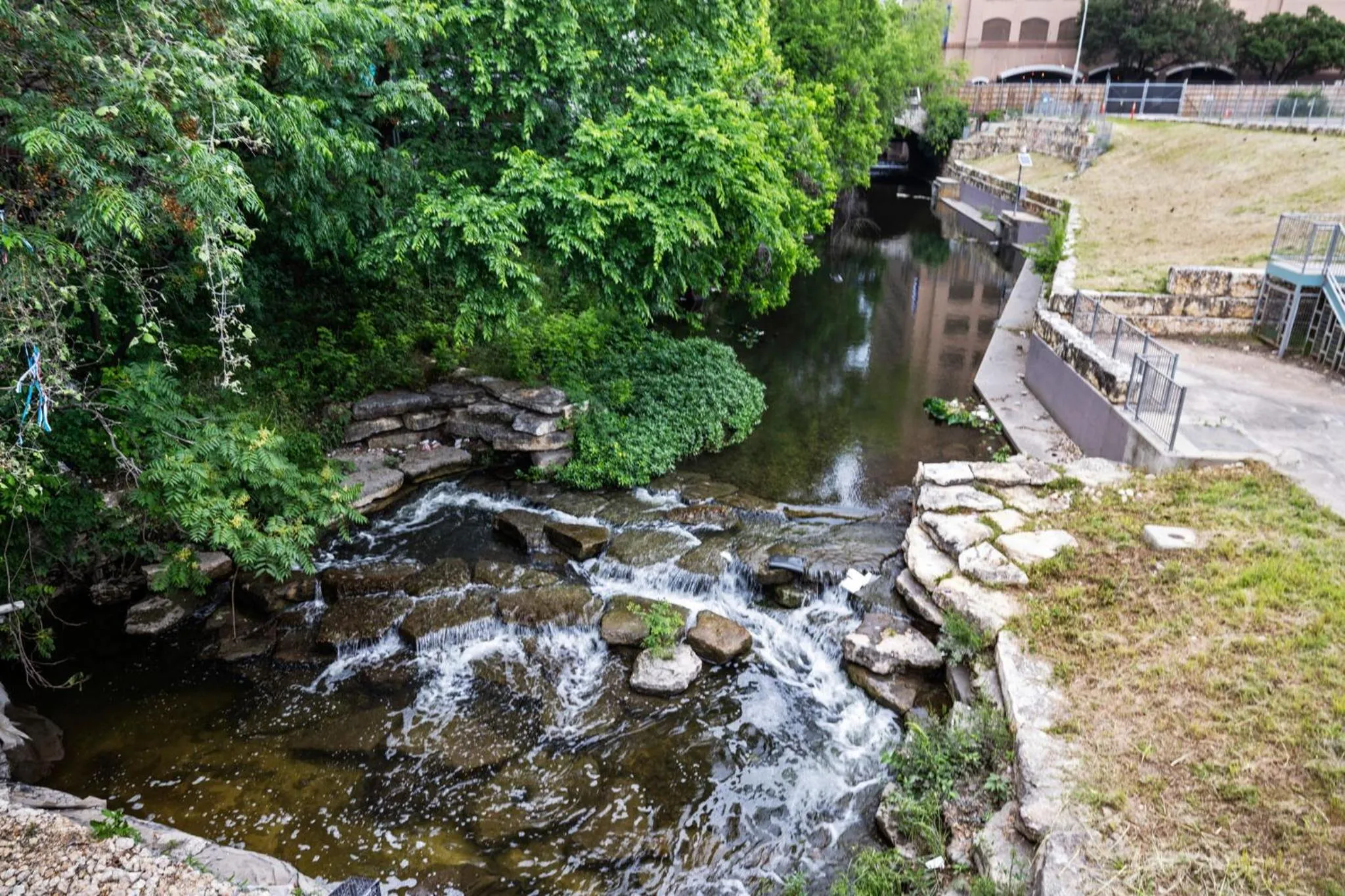 Natural landscape in Placemakr Downtown Austin
