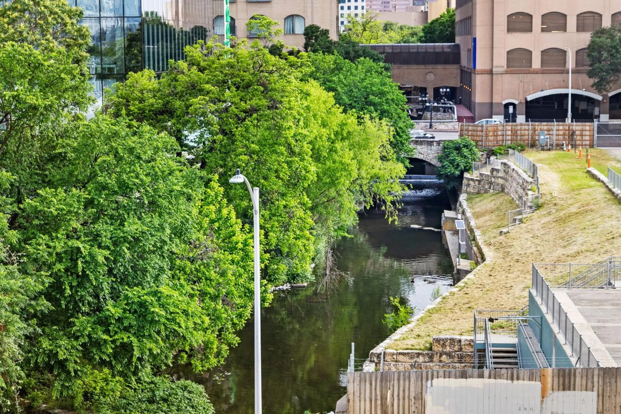 Natural landscape in Placemakr Downtown Austin