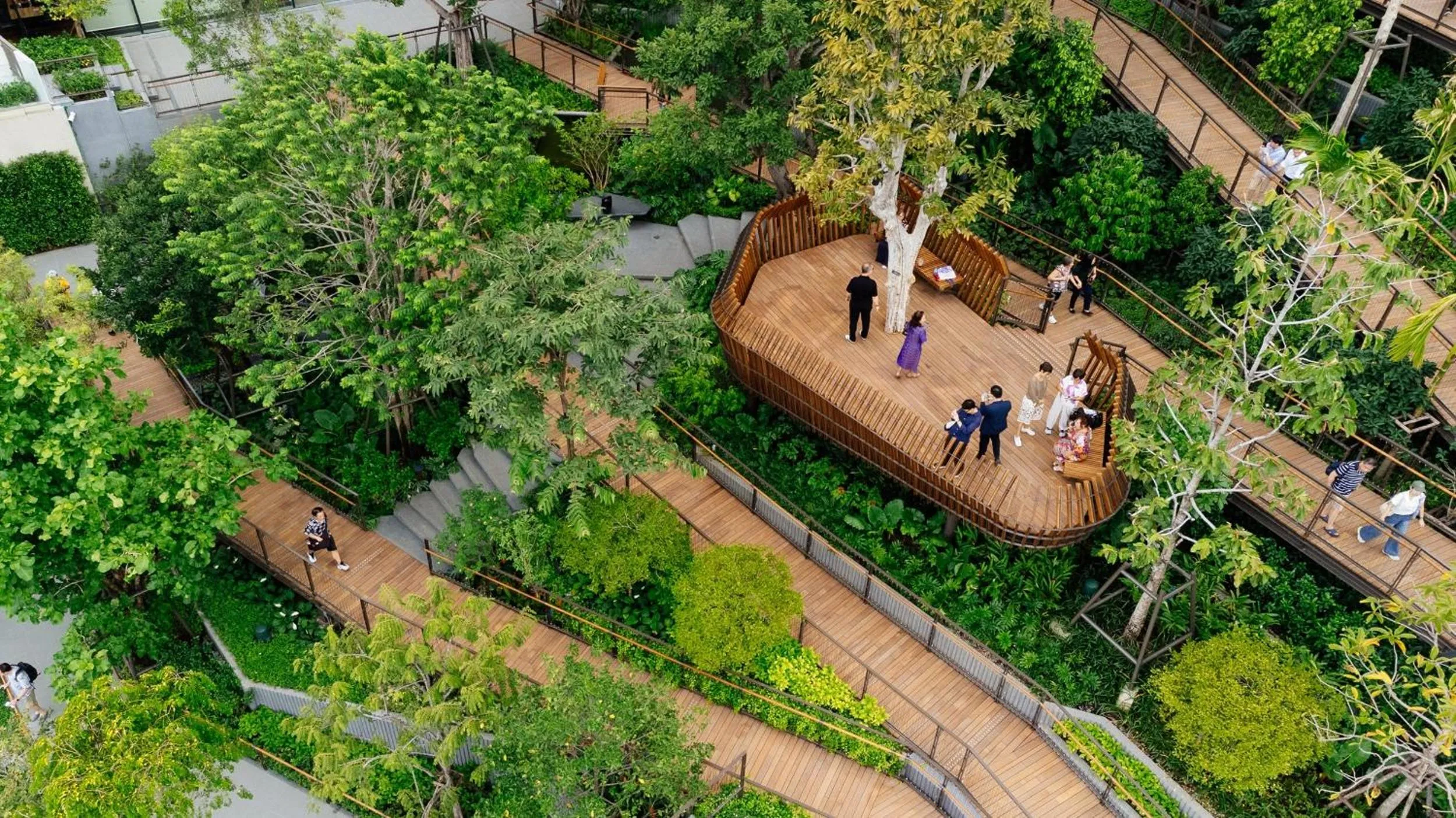 Garden in Dusit Thani Bangkok