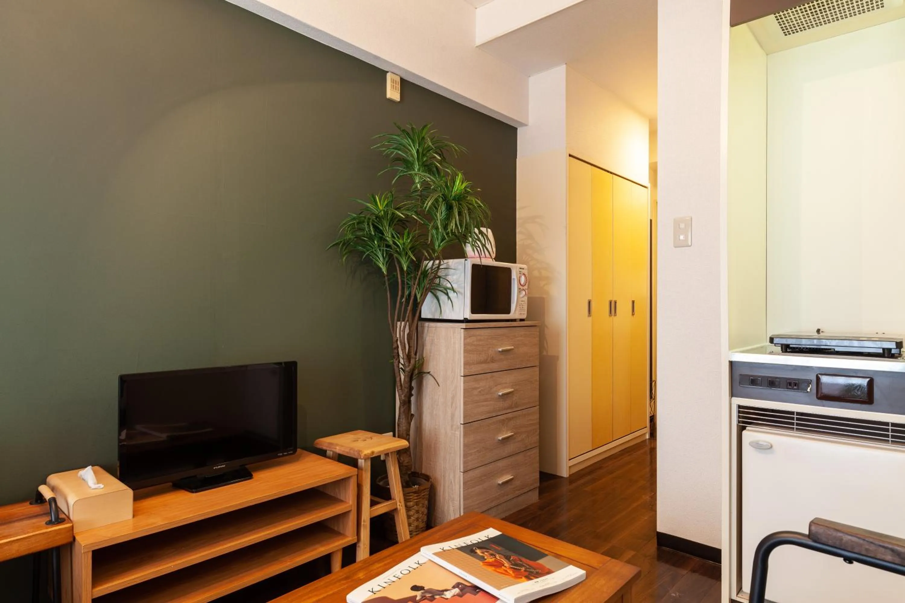 TV and multimedia in Elm takadanobaba