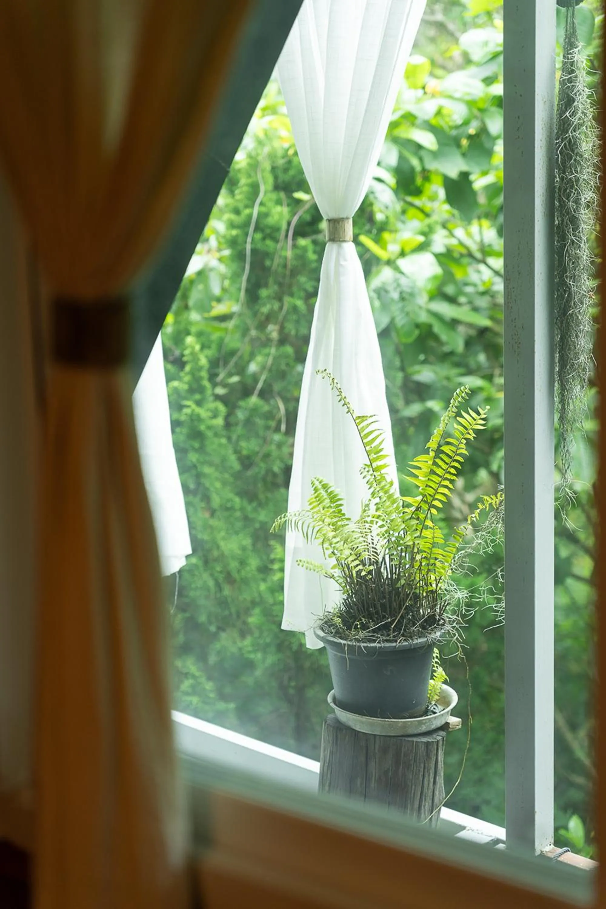 Area and facilities in Monruamsuk Homestay Cafe and Bistro