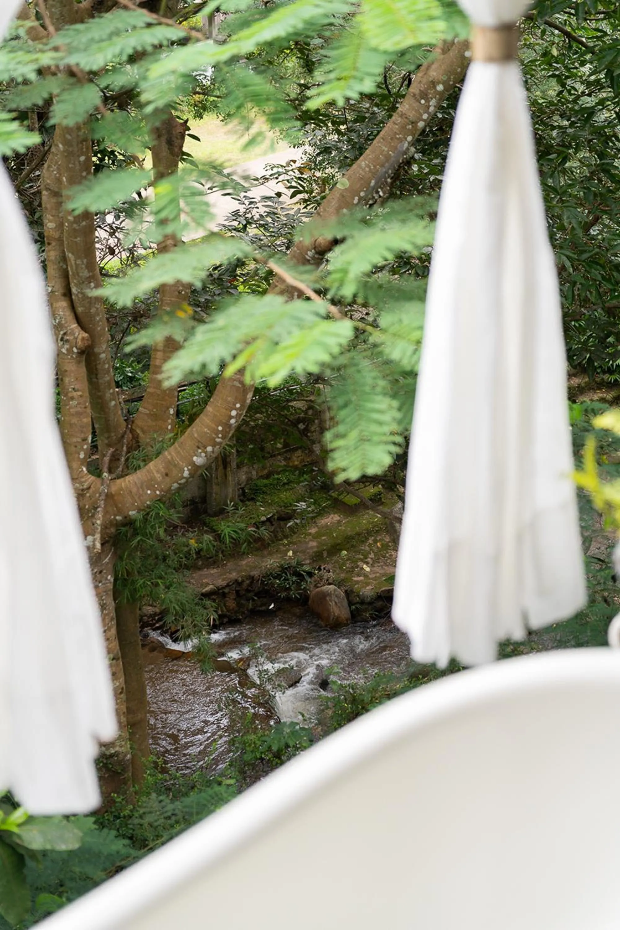 View (from property/room) in Monruamsuk Homestay Cafe and Bistro