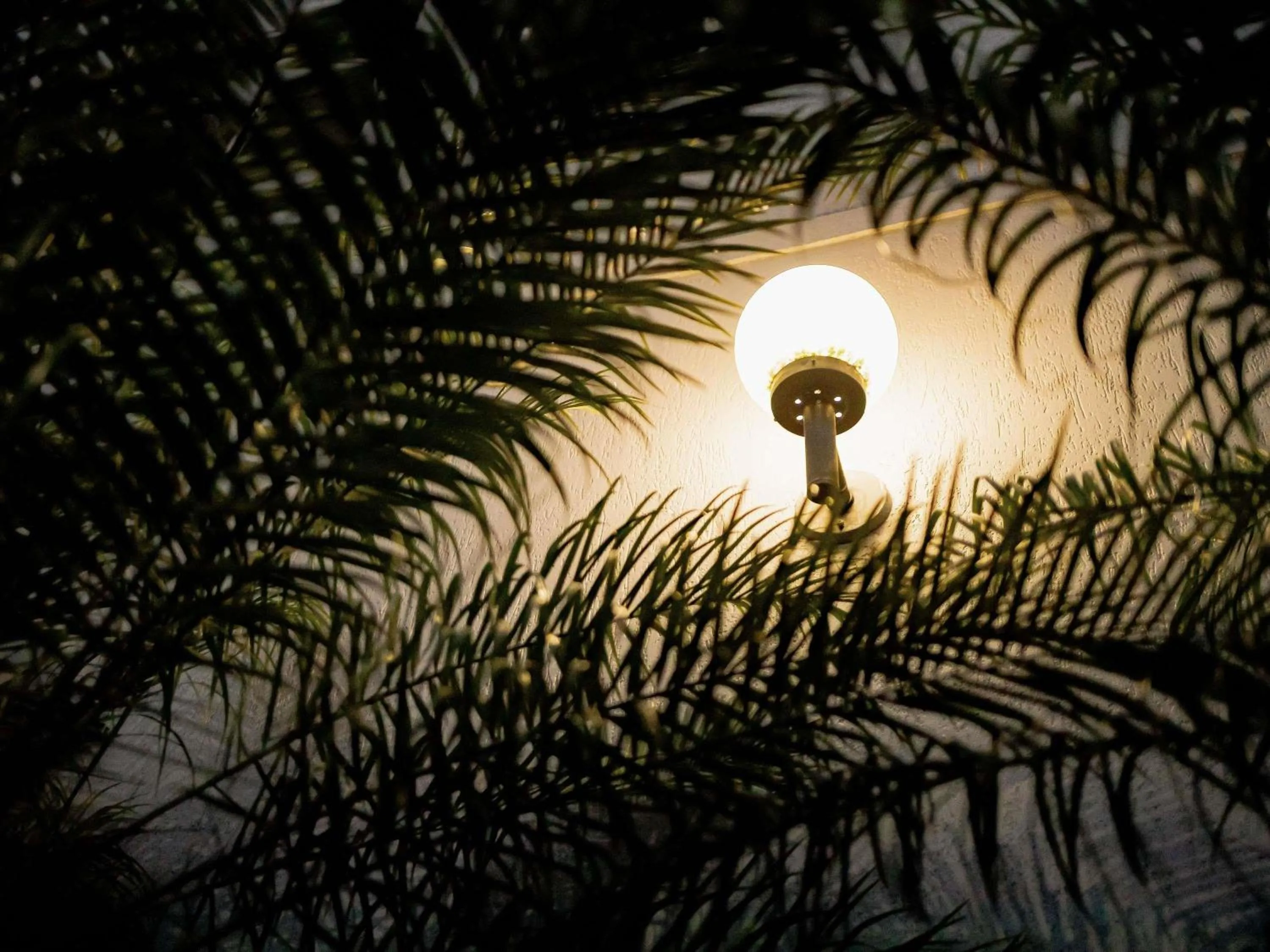 Restaurant/places to eat in Mercure Jaragua do Sul