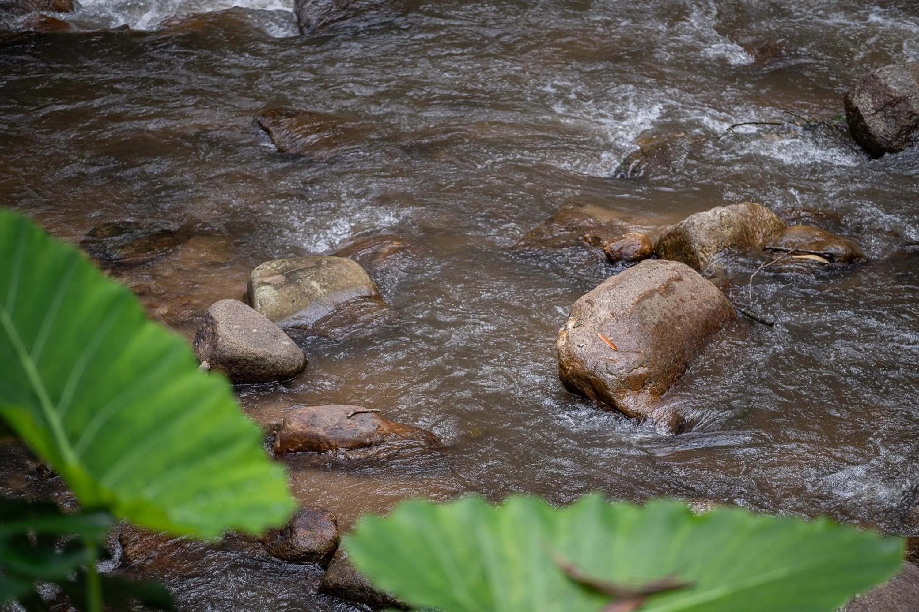 Natural landscape in Inthada At Mae Kampong
