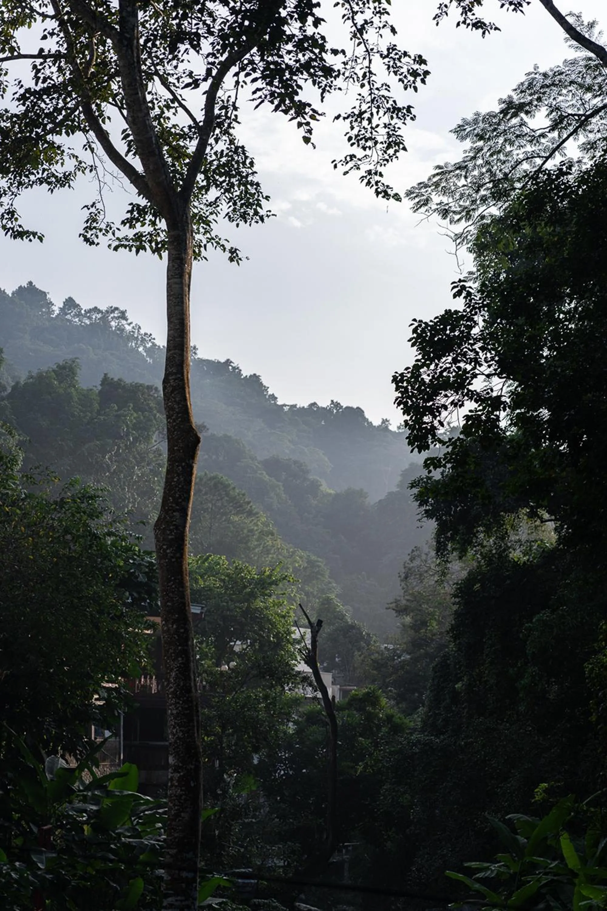 Natural landscape in Inthada At Mae Kampong