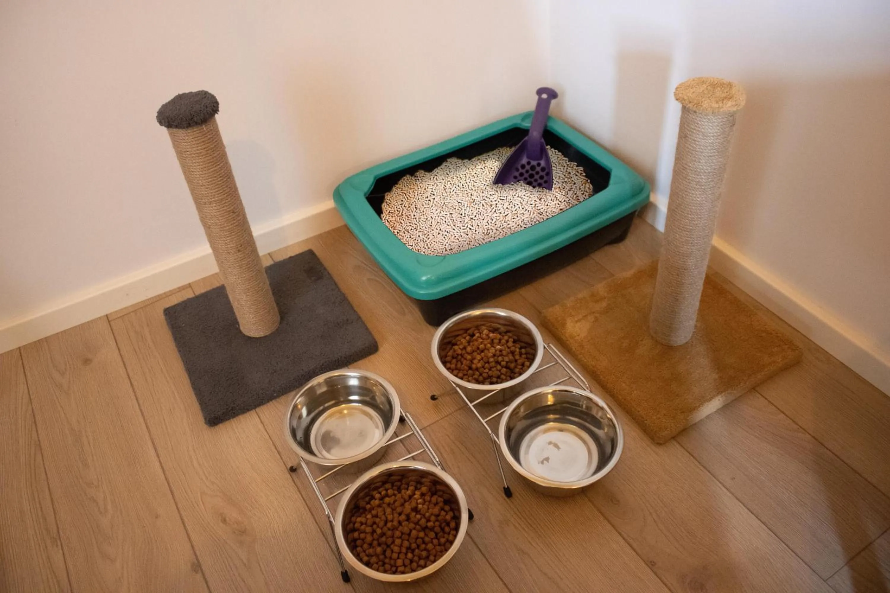 Photo of the whole room in Bird Nest Suites