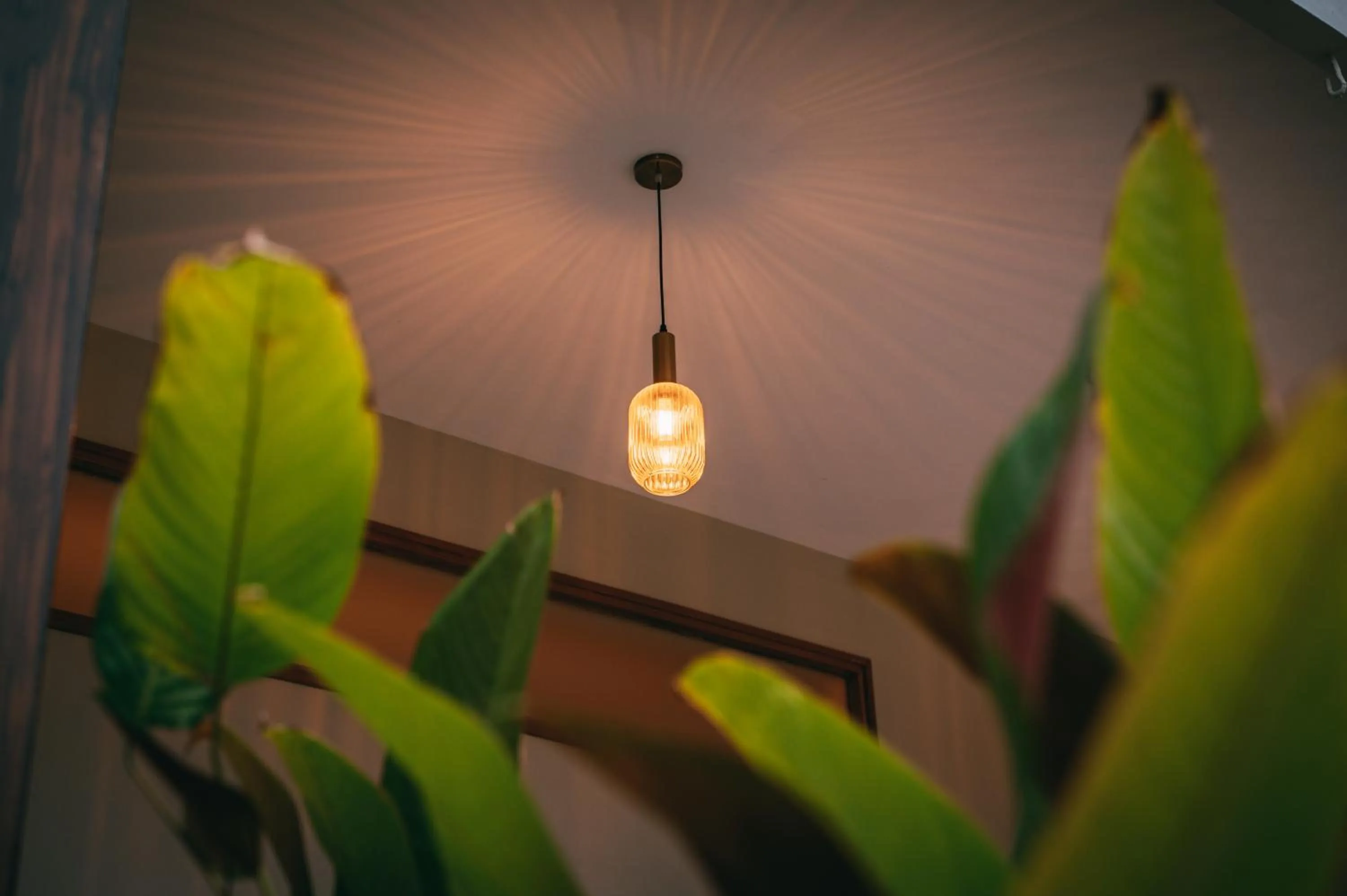 Decorative detail in Poojaris Nirantara - Mysuru