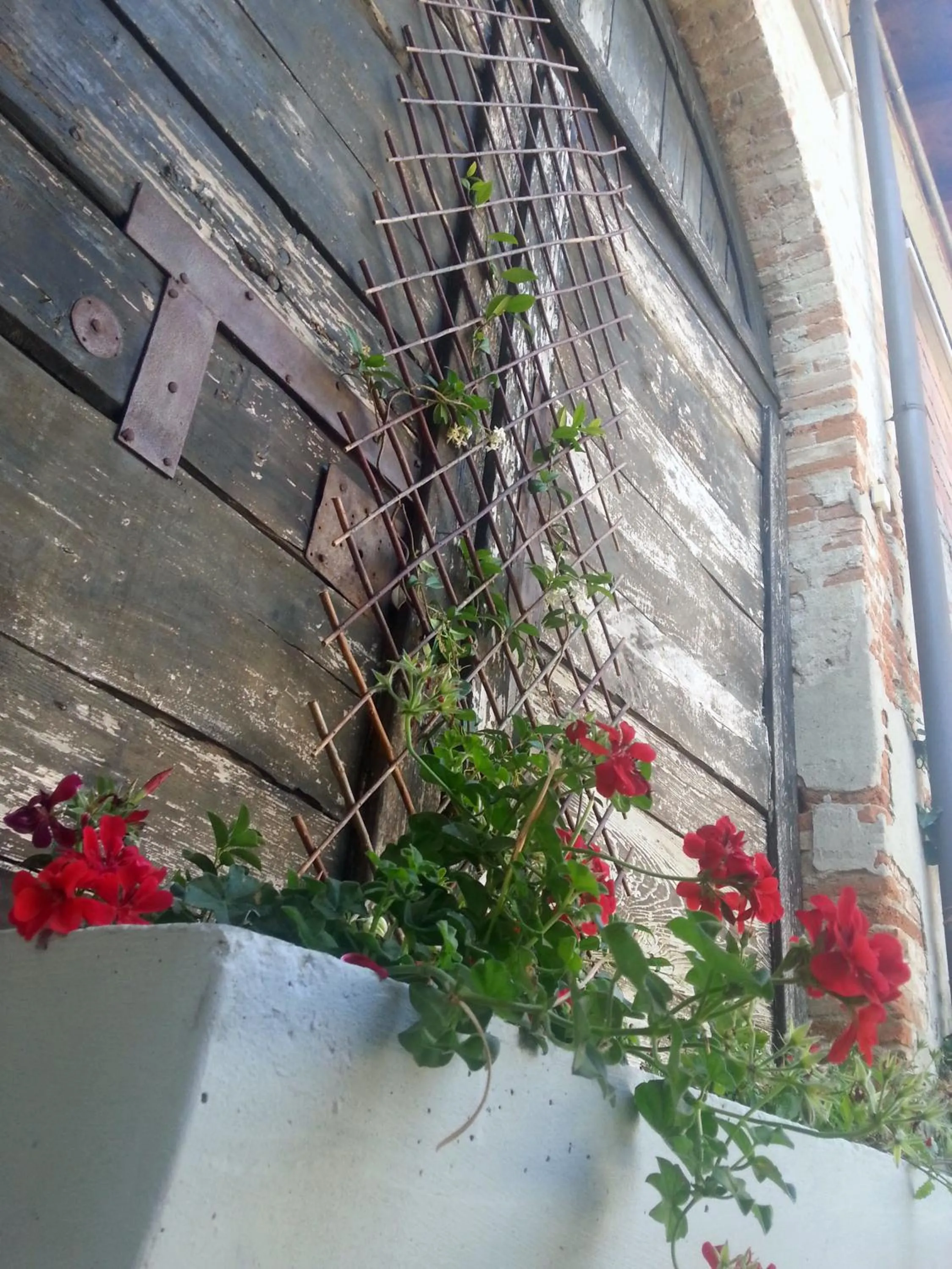 Decorative detail in Le Residenze del Tenore