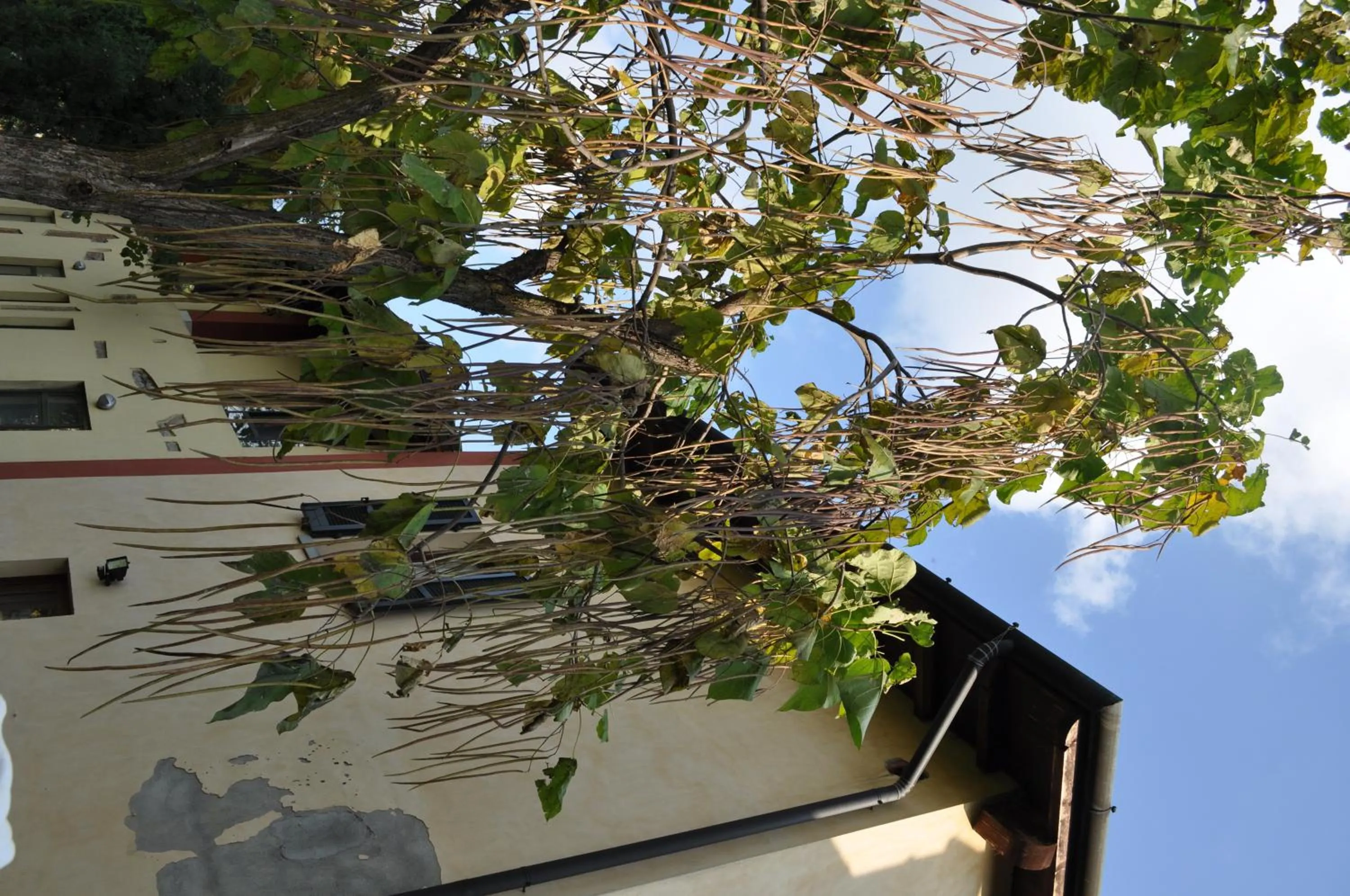 Facade/entrance in Le Residenze del Tenore