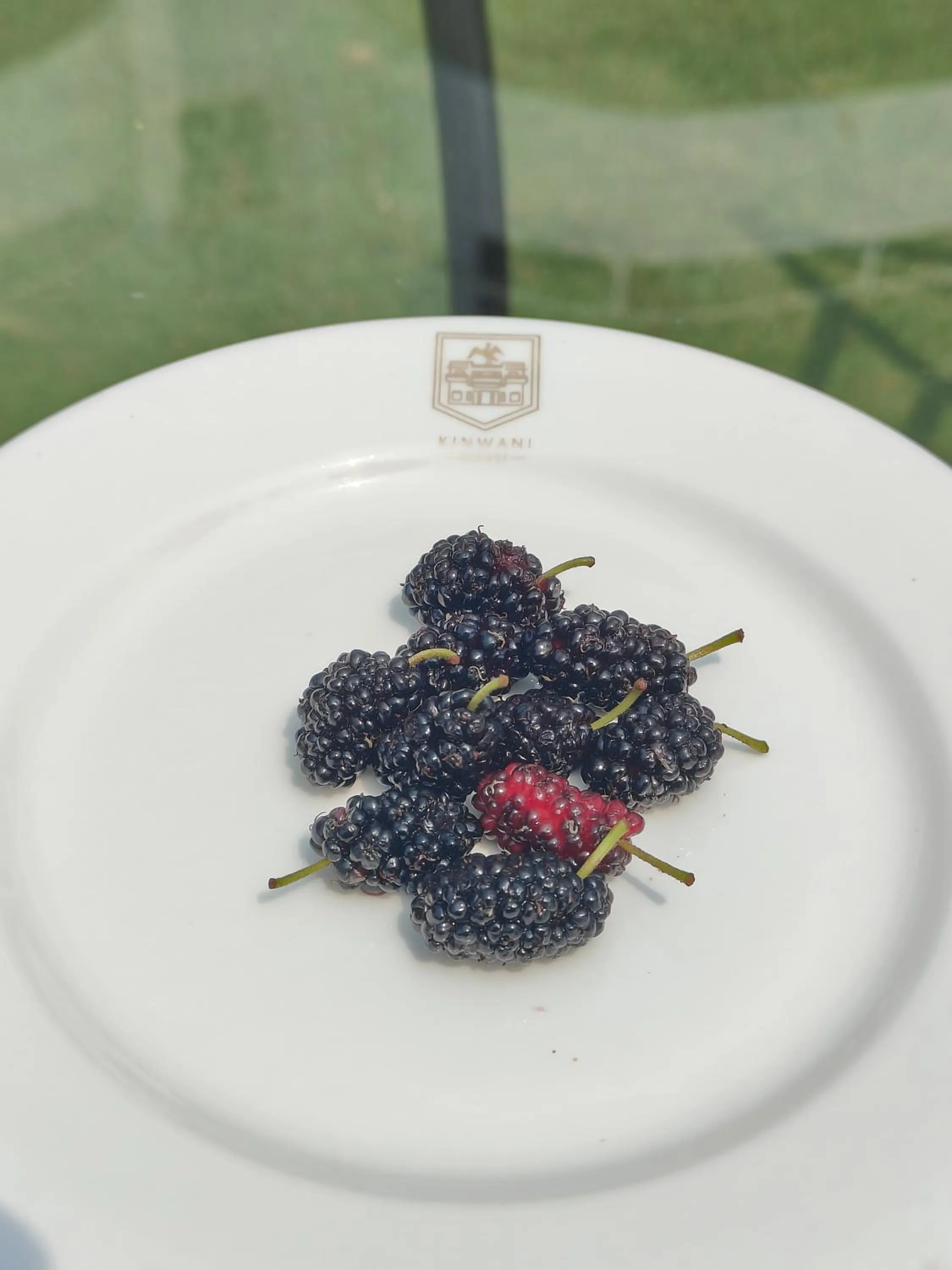 Breakfast in Kinwani House - Araiya Anthology