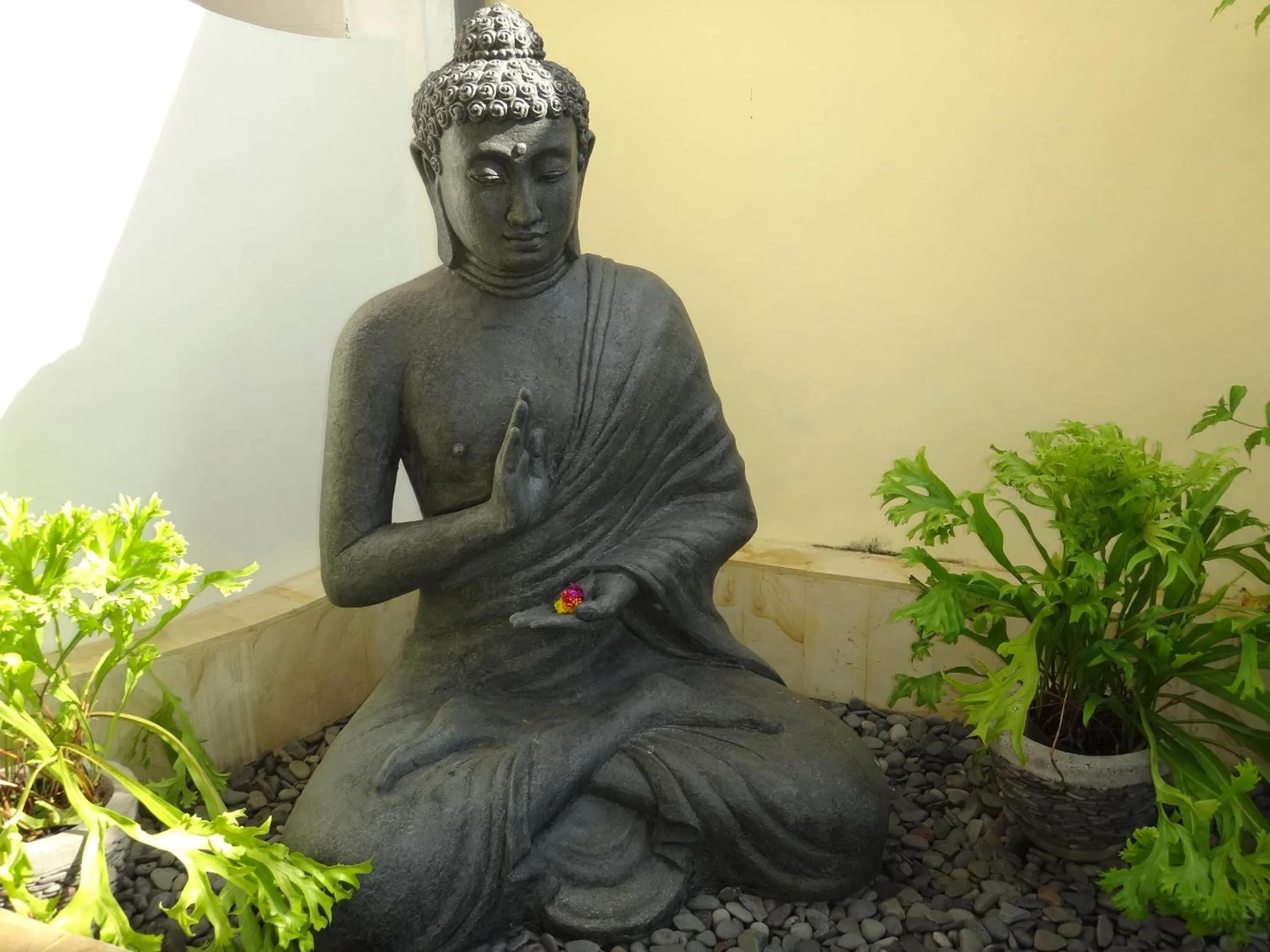 Garden in Villa Lumbalumba