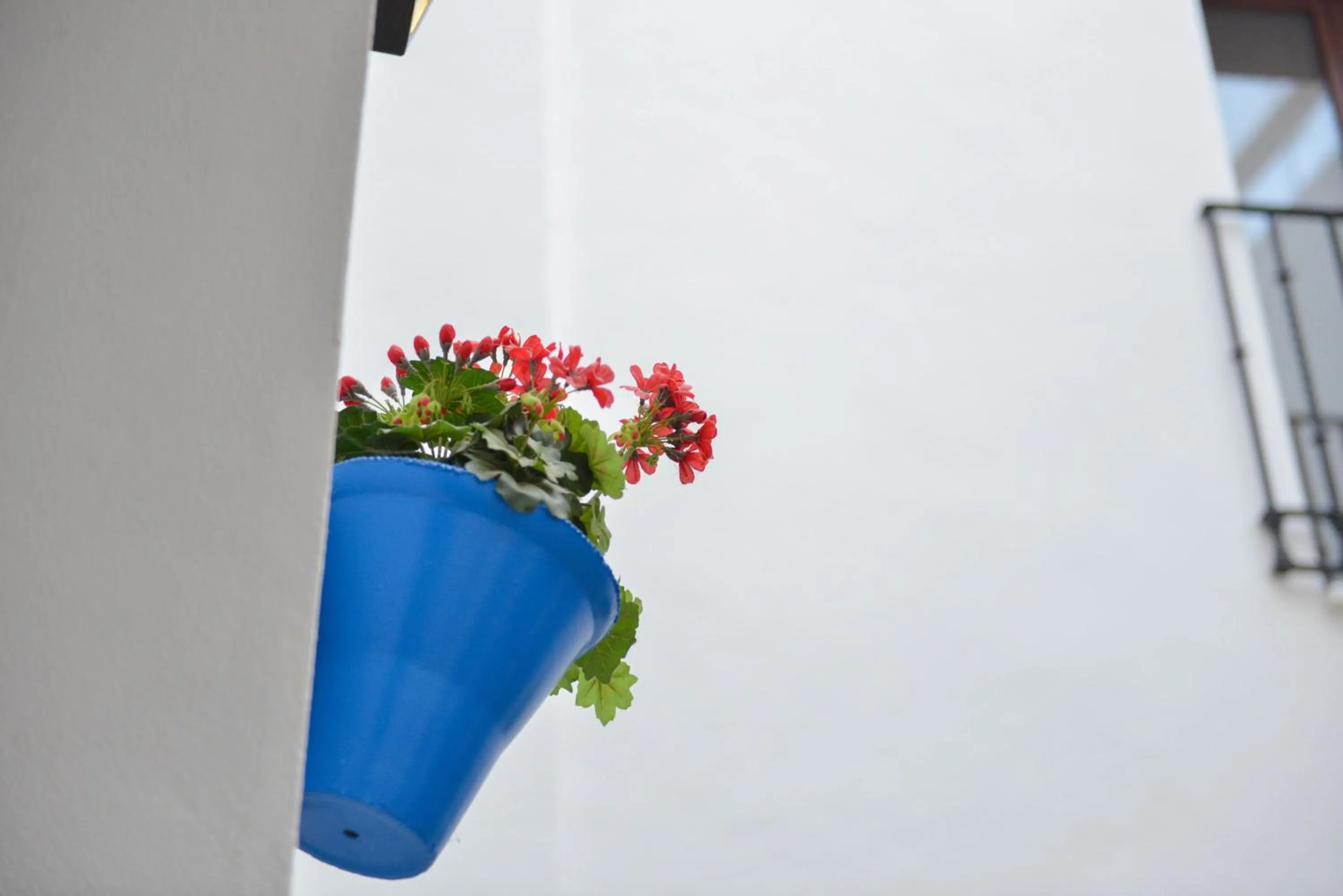 Property building in Hotel Los Omeyas