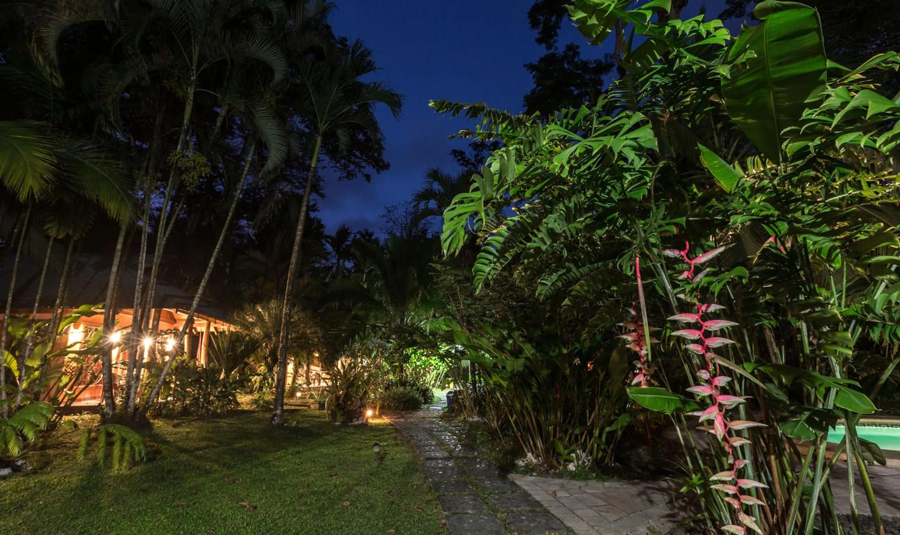 Garden in El Nido Jungle Lodge