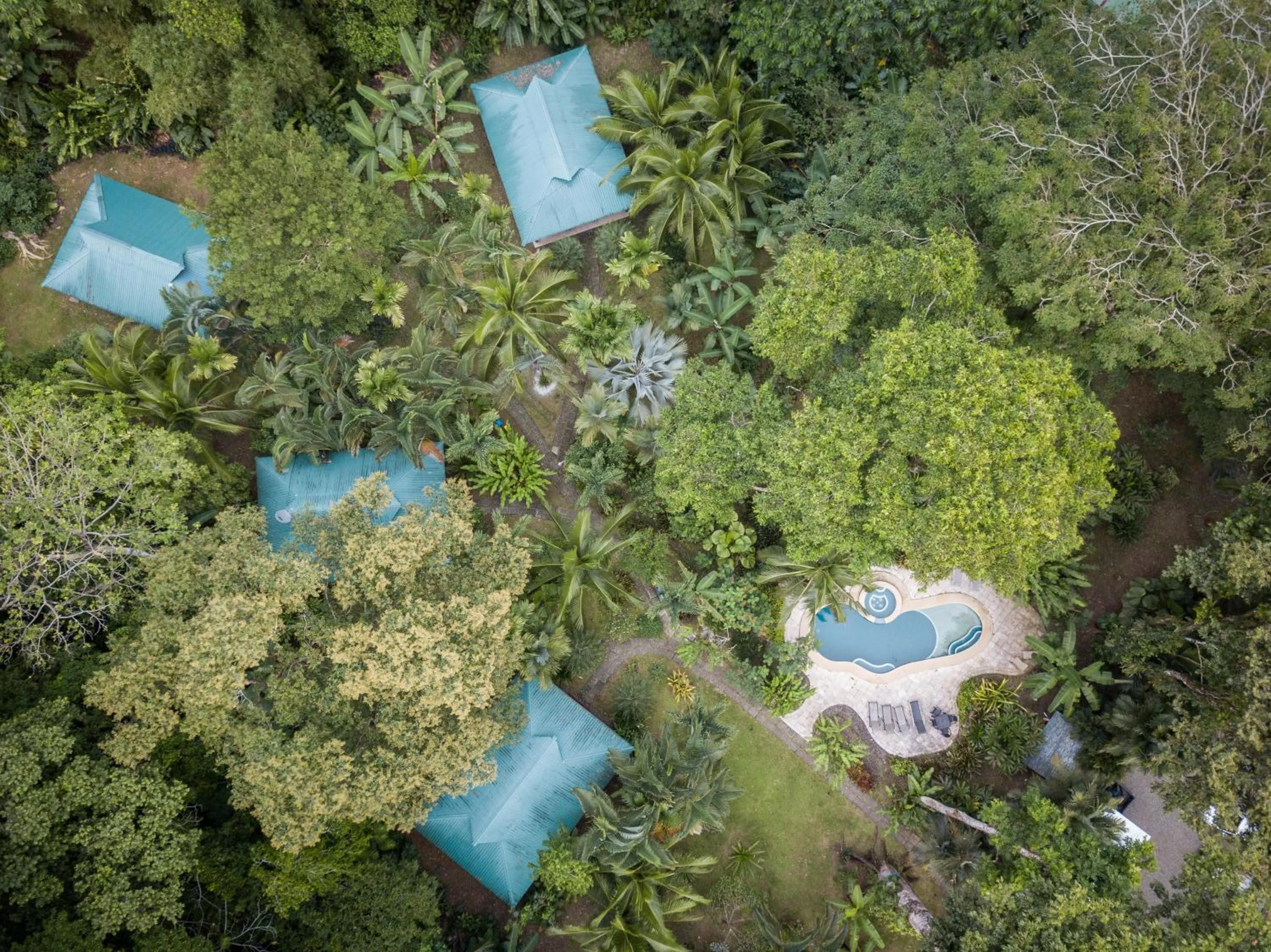 Bird's eye view in El Nido Jungle Lodge