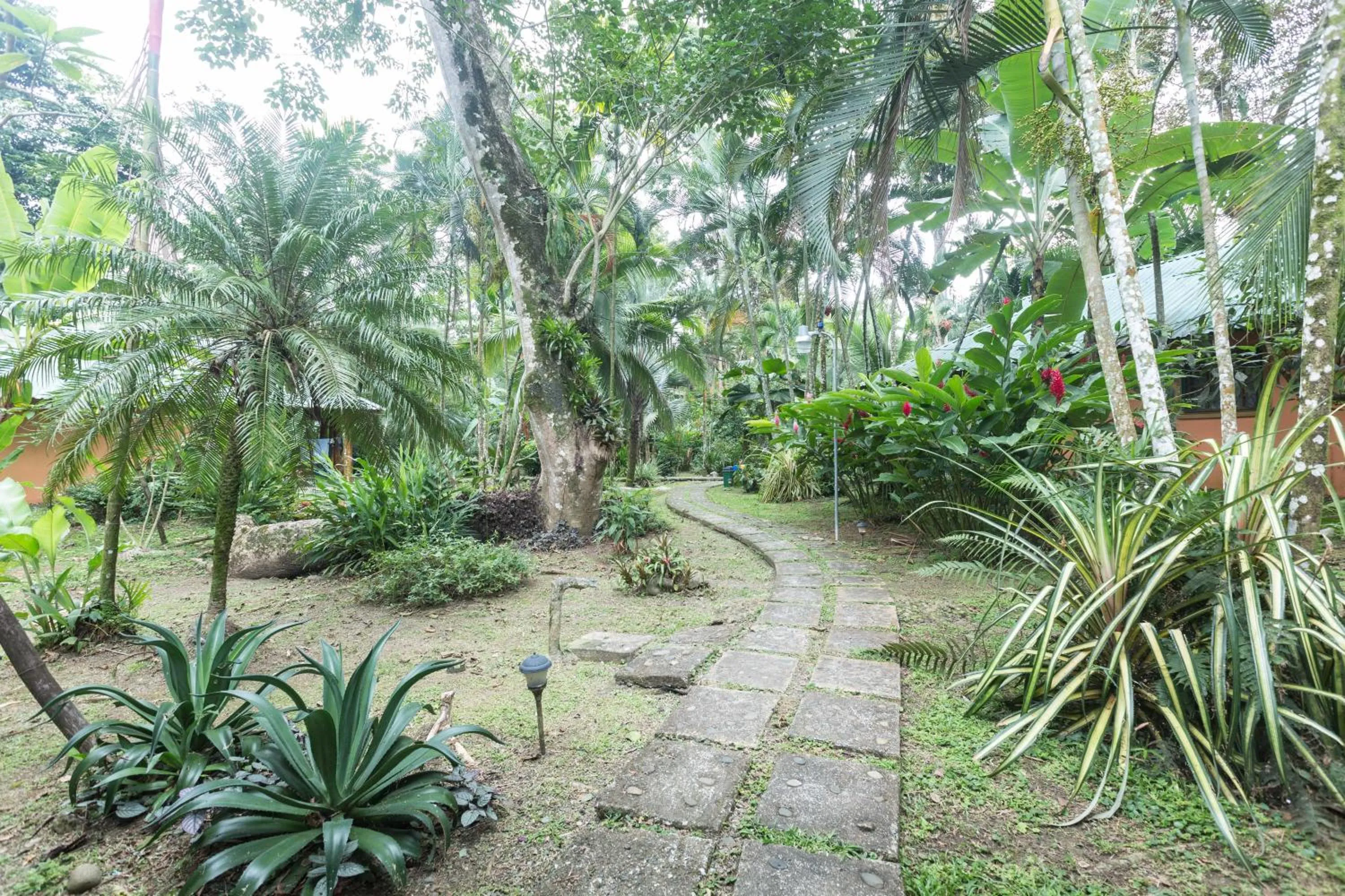 Garden in El Nido Jungle Lodge