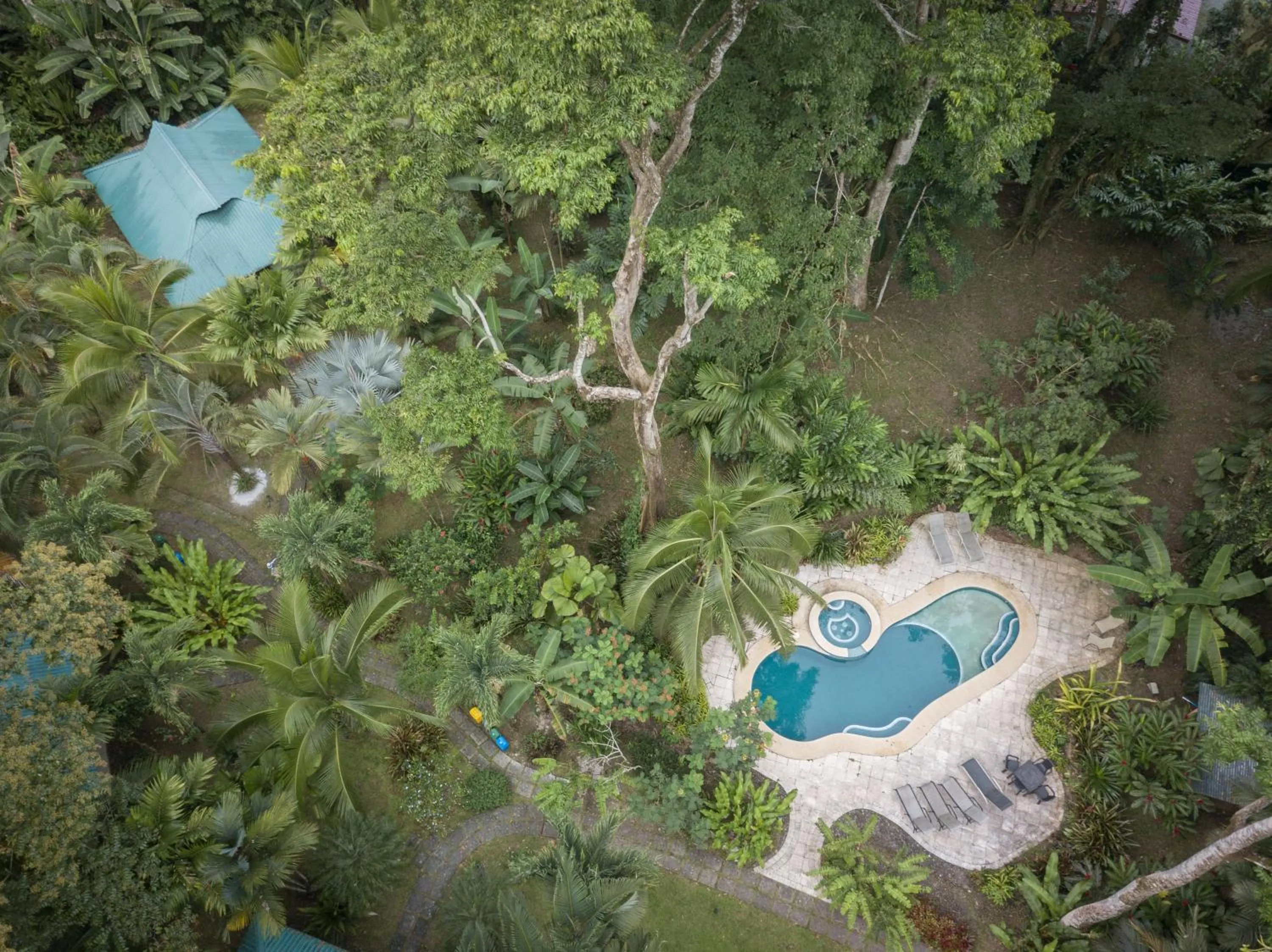 Bird's eye view in El Nido Jungle Lodge