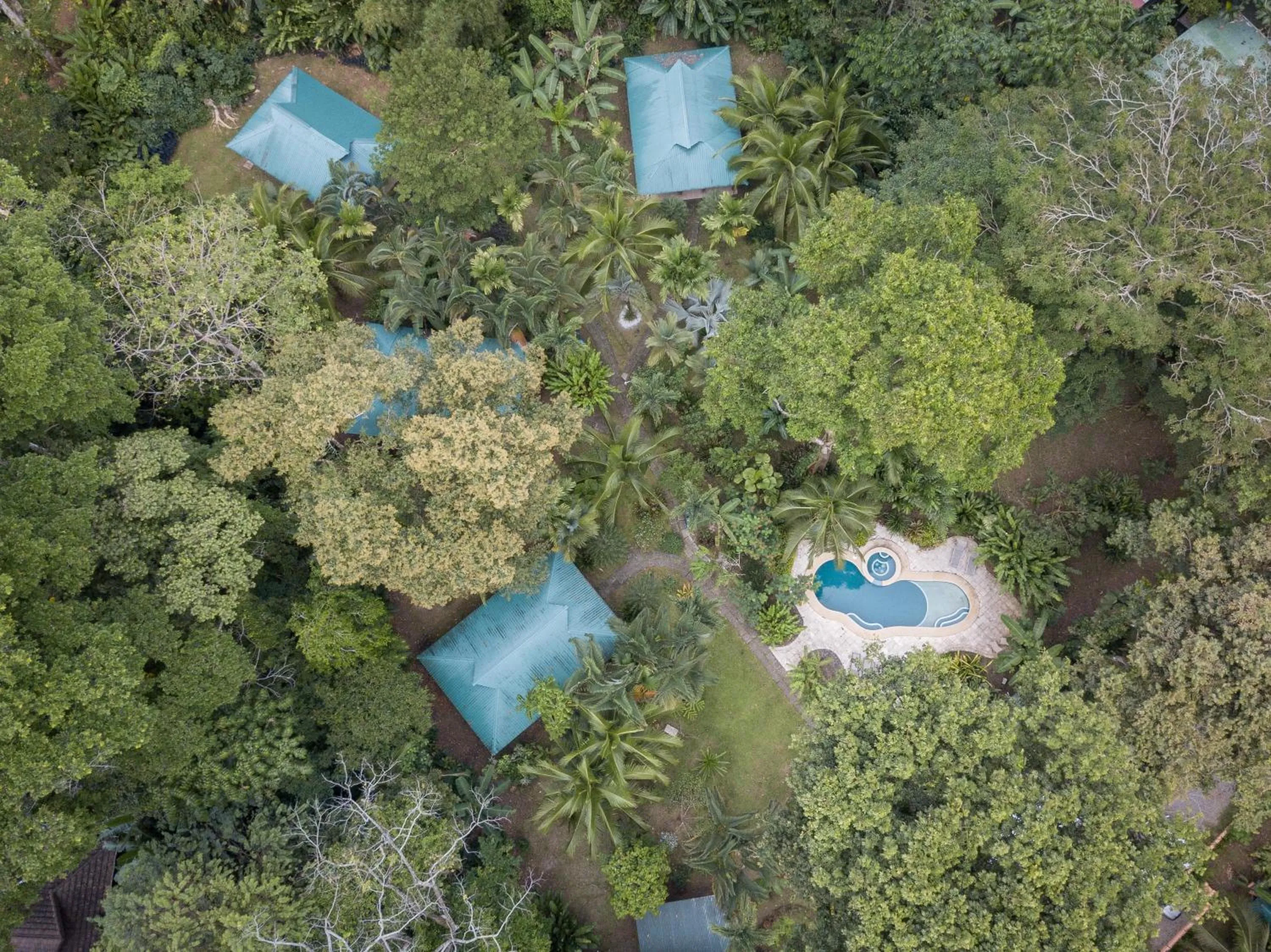 Bird's eye view in El Nido Jungle Lodge