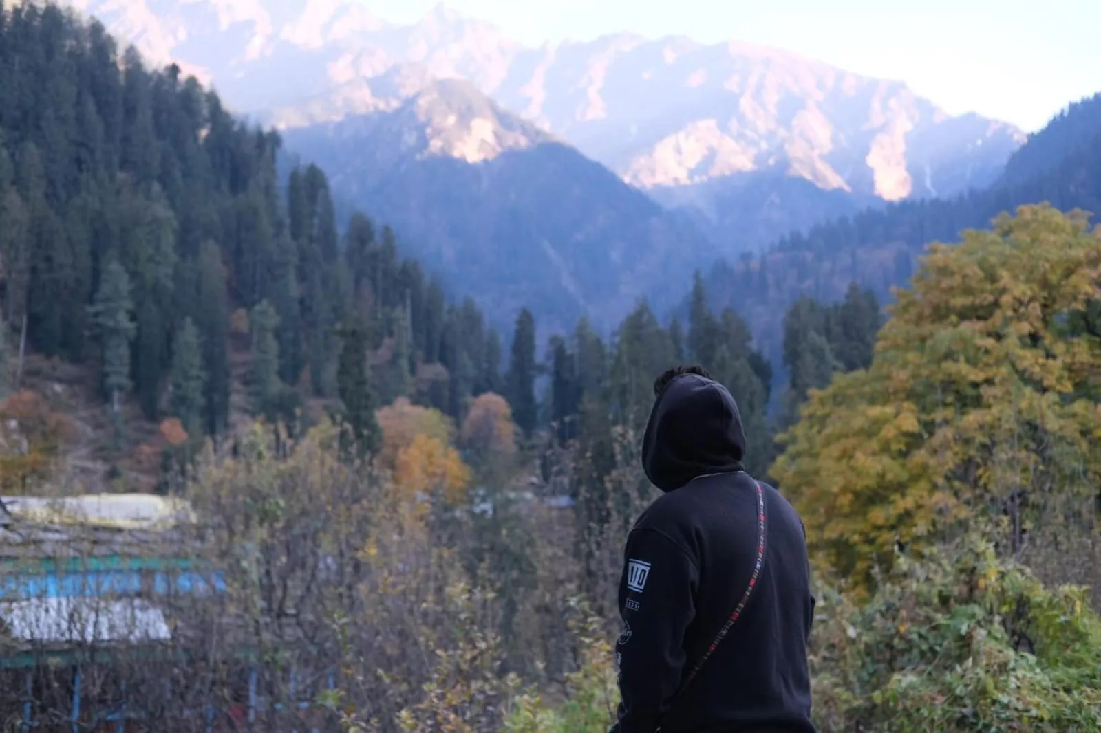 Mountain view in Jungle by sturmfrei Kasol