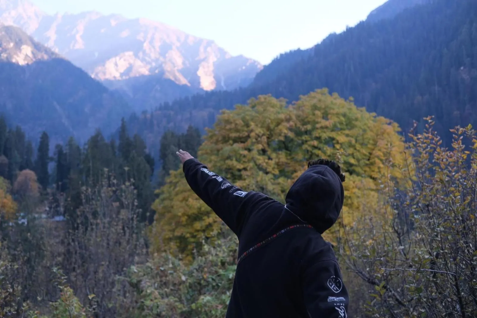 View (from property/room) in Jungle by sturmfrei Kasol