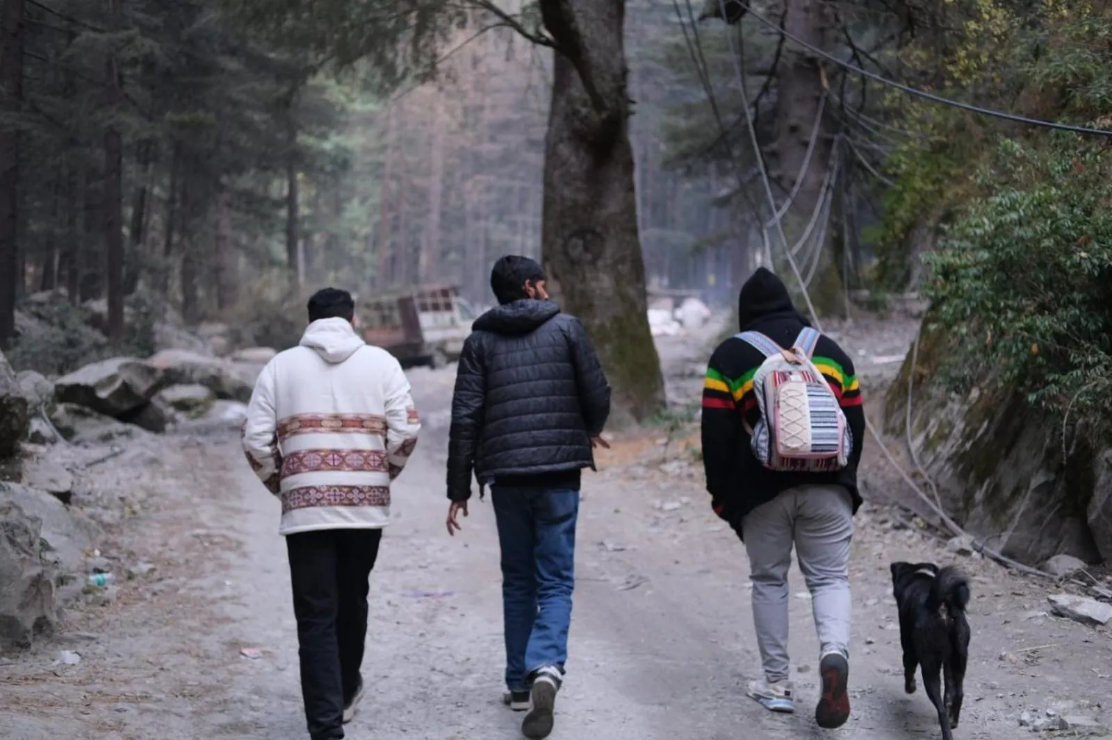 Activities in Jungle by sturmfrei Kasol