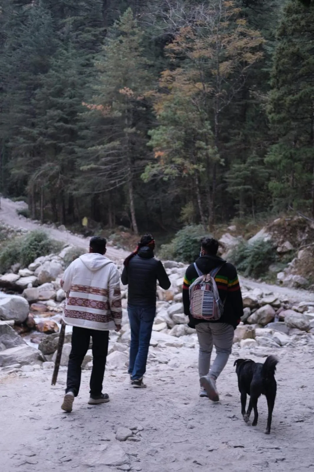 Activities in Jungle by sturmfrei Kasol