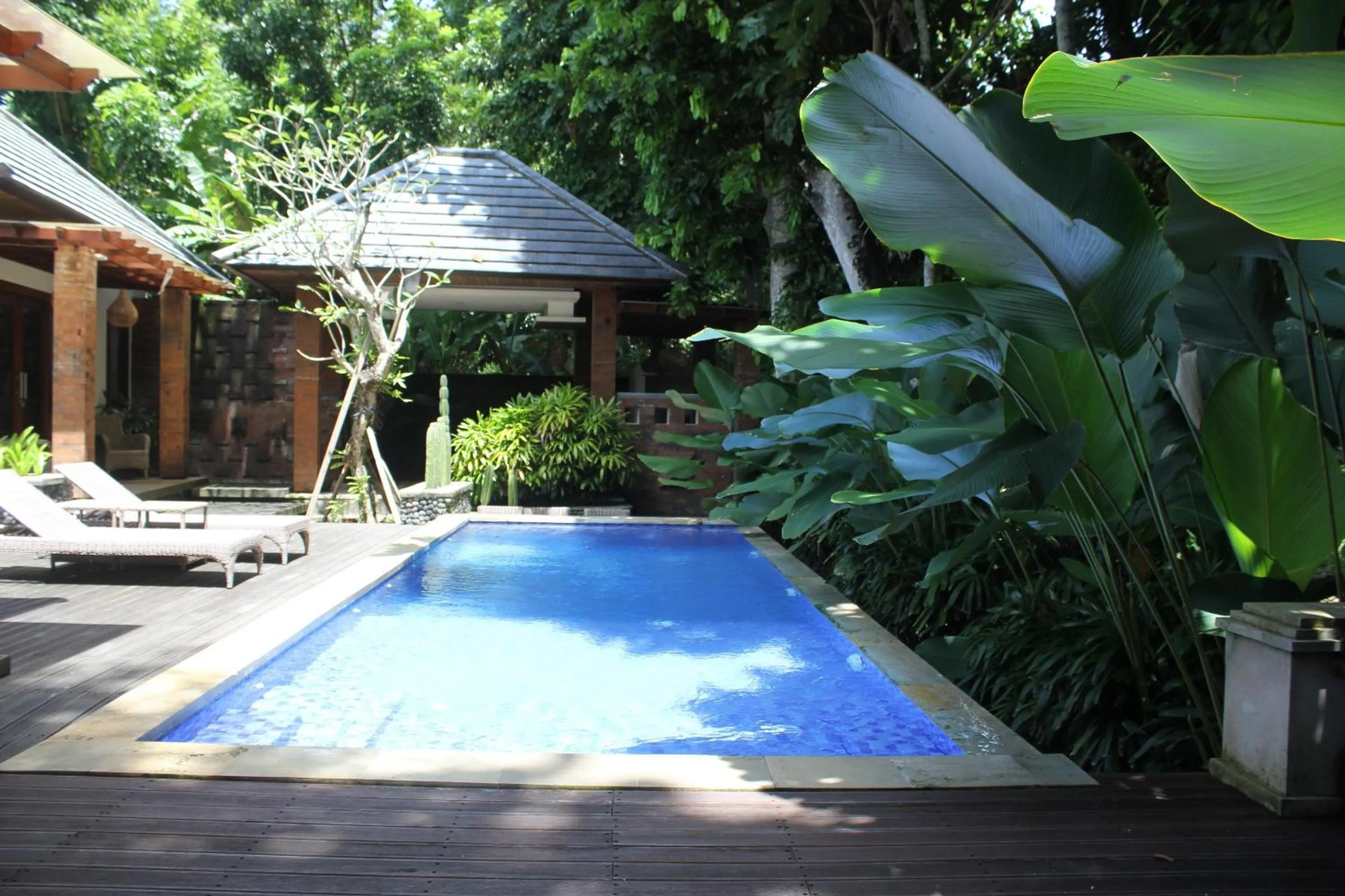 Swimming pool in Belvilla Dhyana Kutir Seseh Beach
